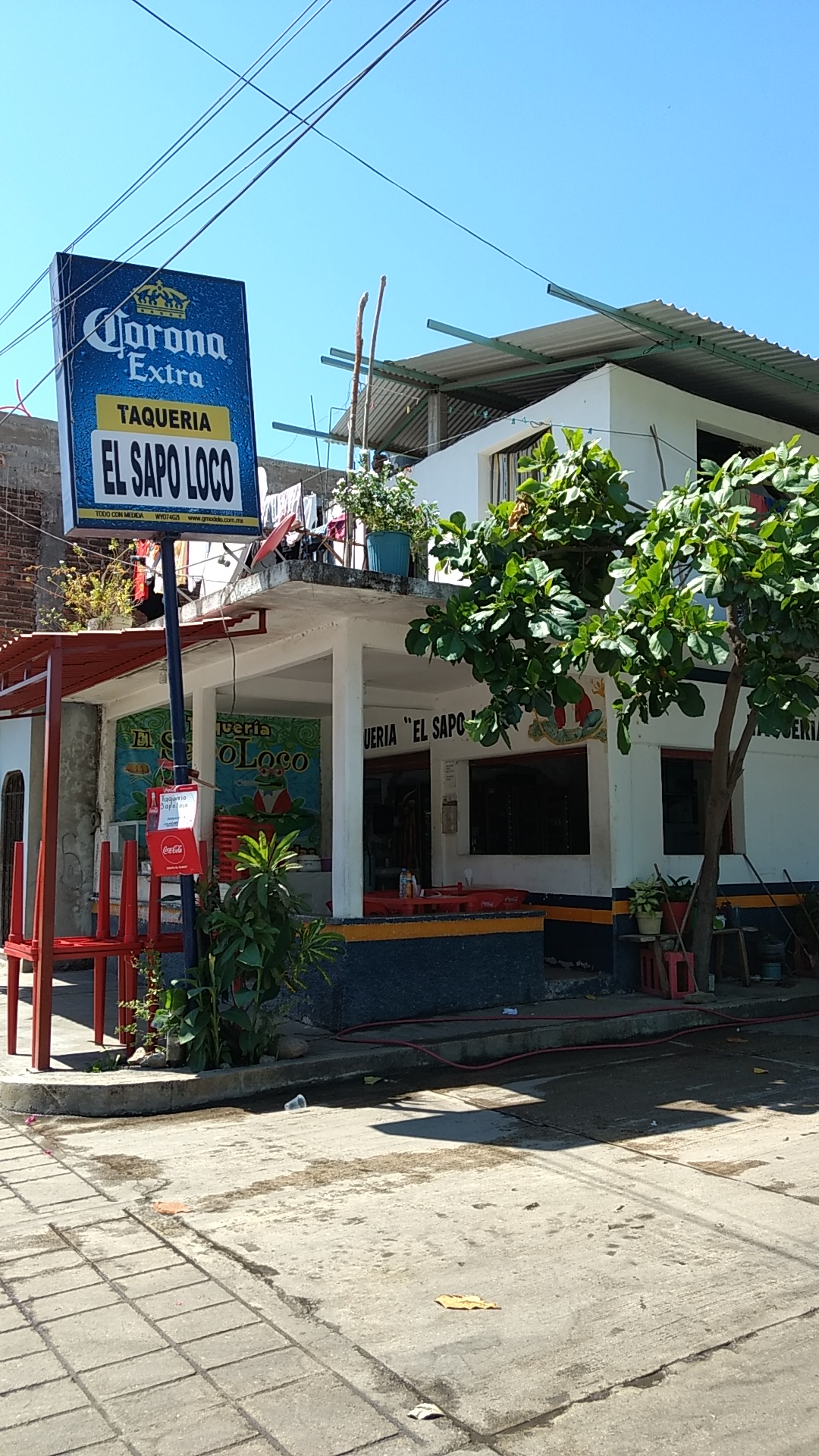 Taquería El Sapo Loco image 10