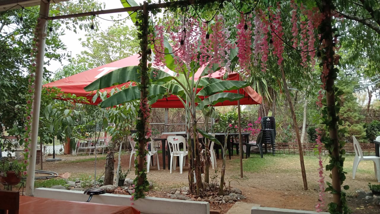 Albys Restaurante Palapa image 2