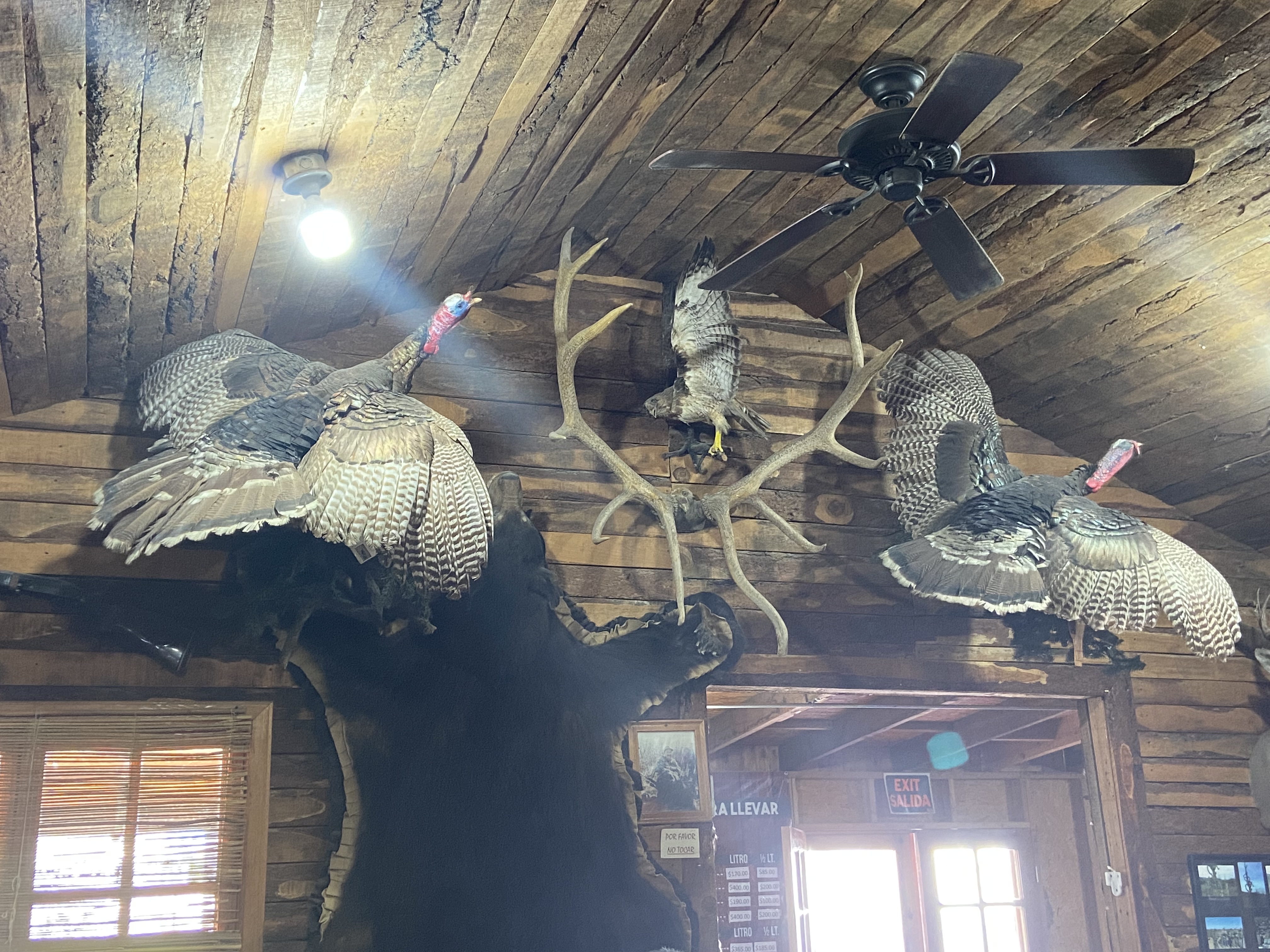 La Cabaña Del Cazador image 3