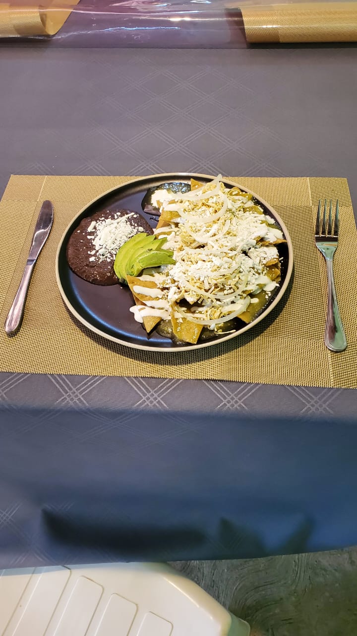 Potrillo grill image 2