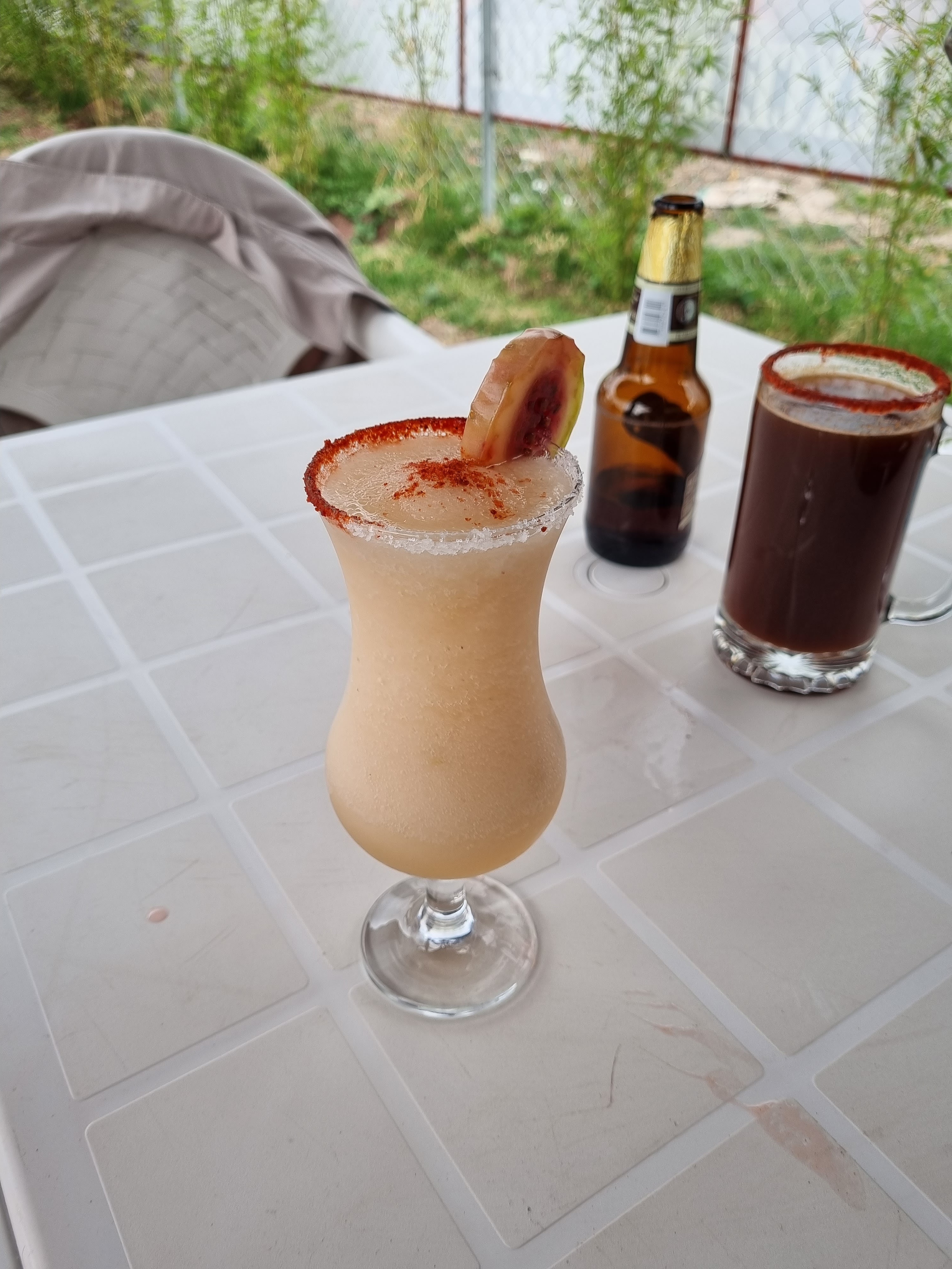 Potrillo grill image 3