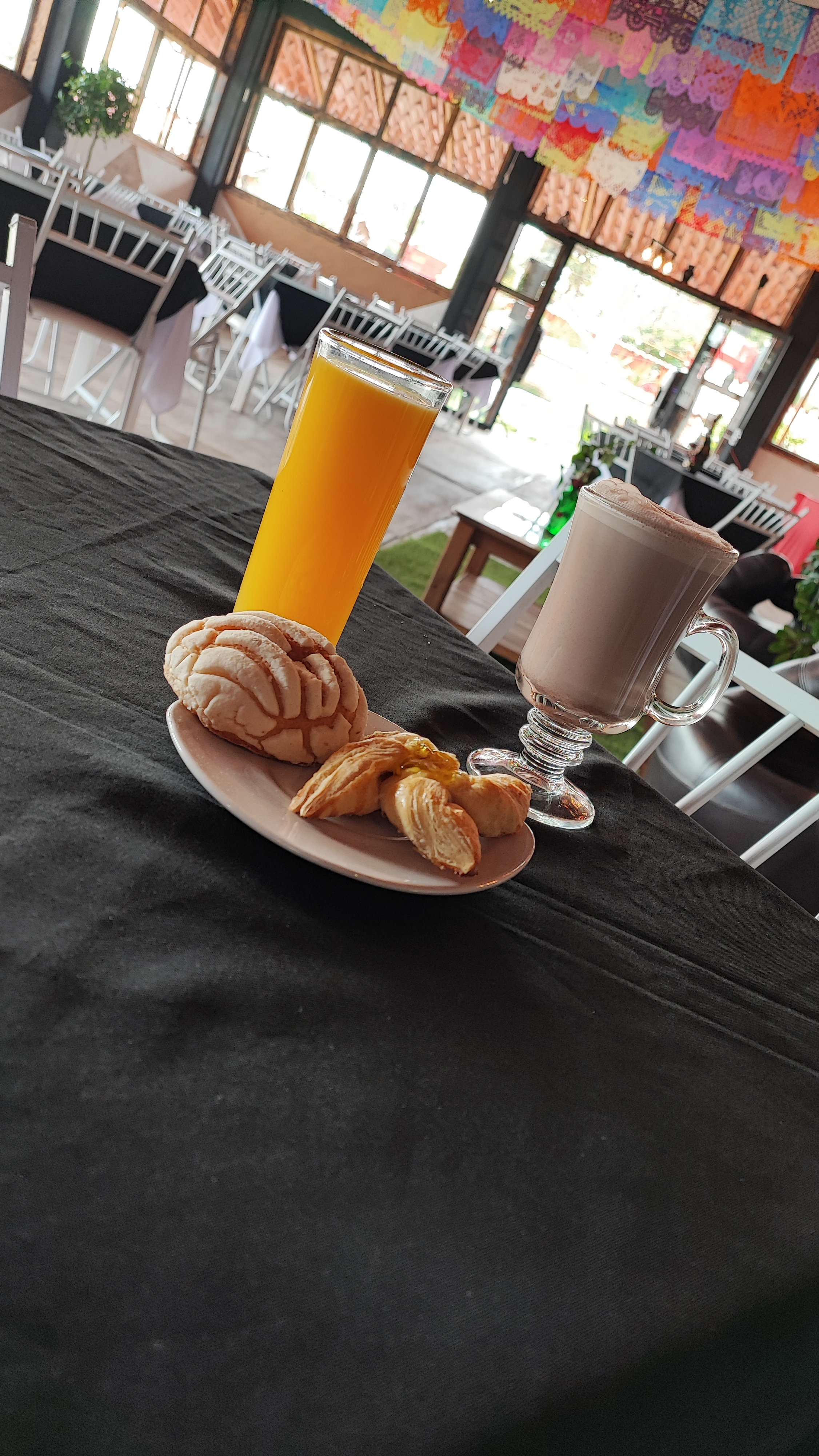 Potrillo grill image 8