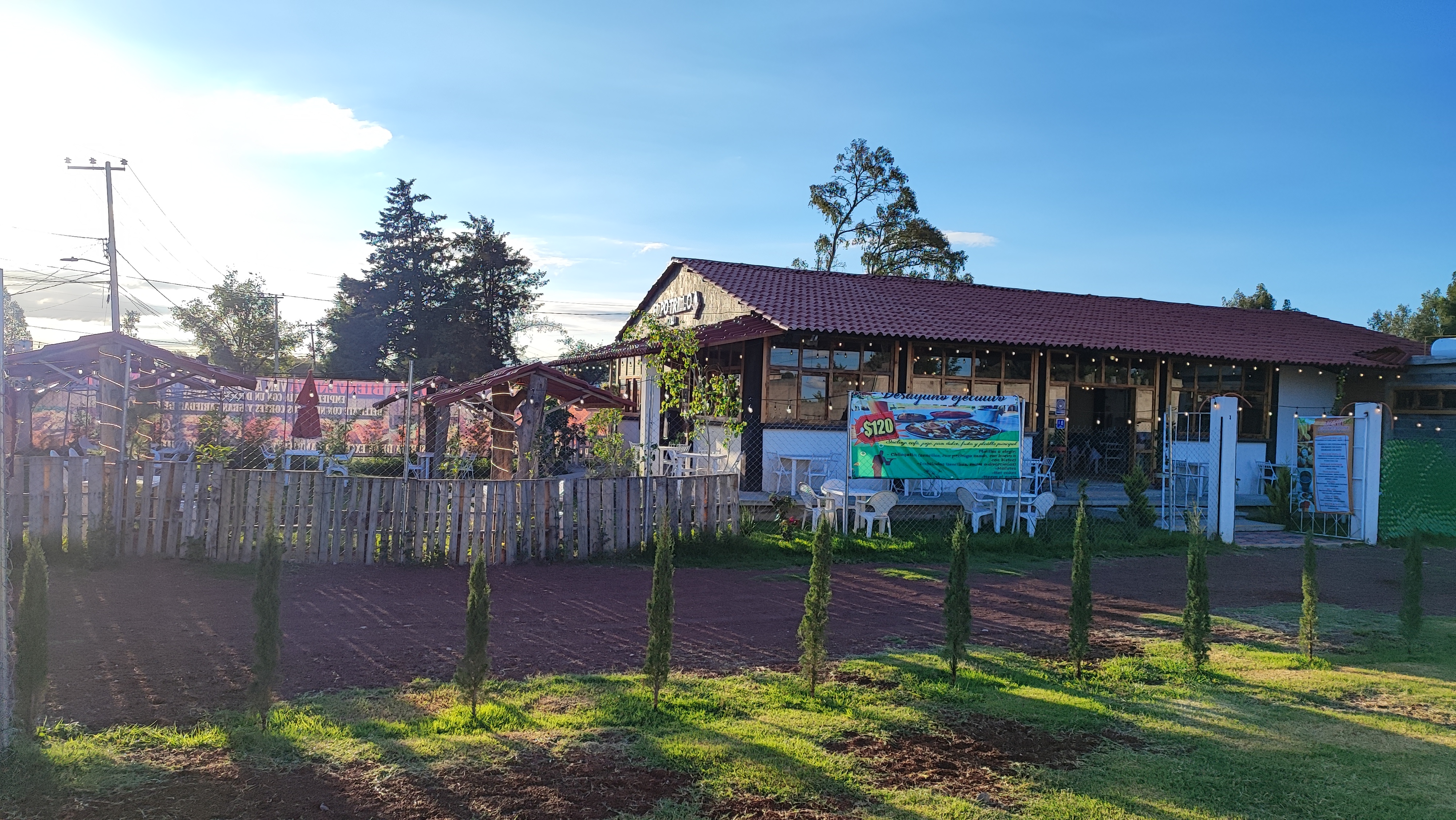 Potrillo grill image 10