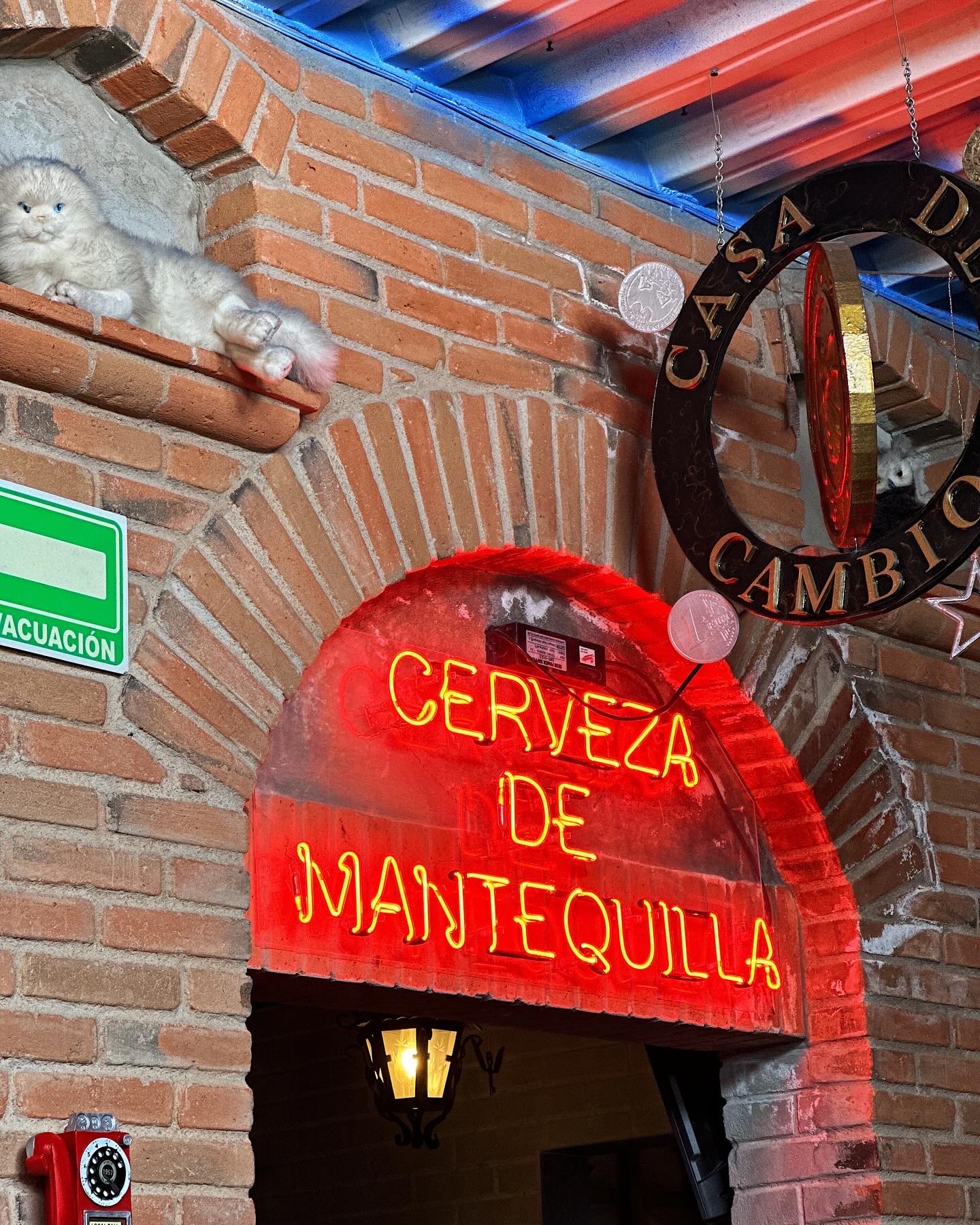 El Mesón de los 3 Magos image 5