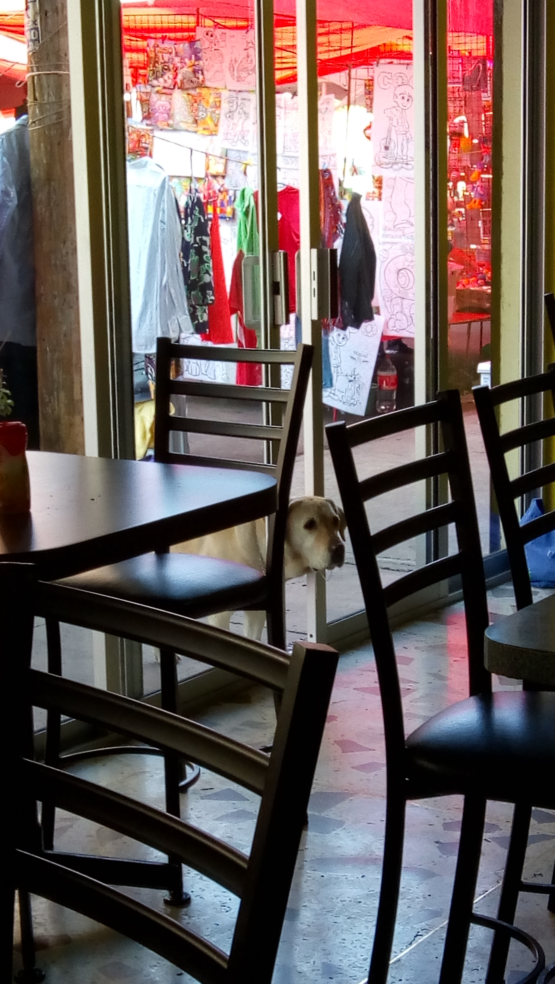 Restaurante La Margarita image 3