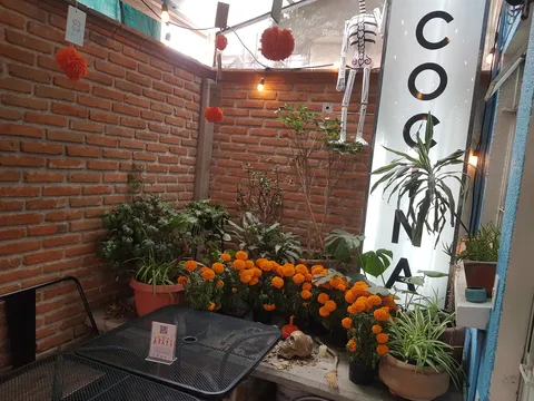 cocina fortuna image 7