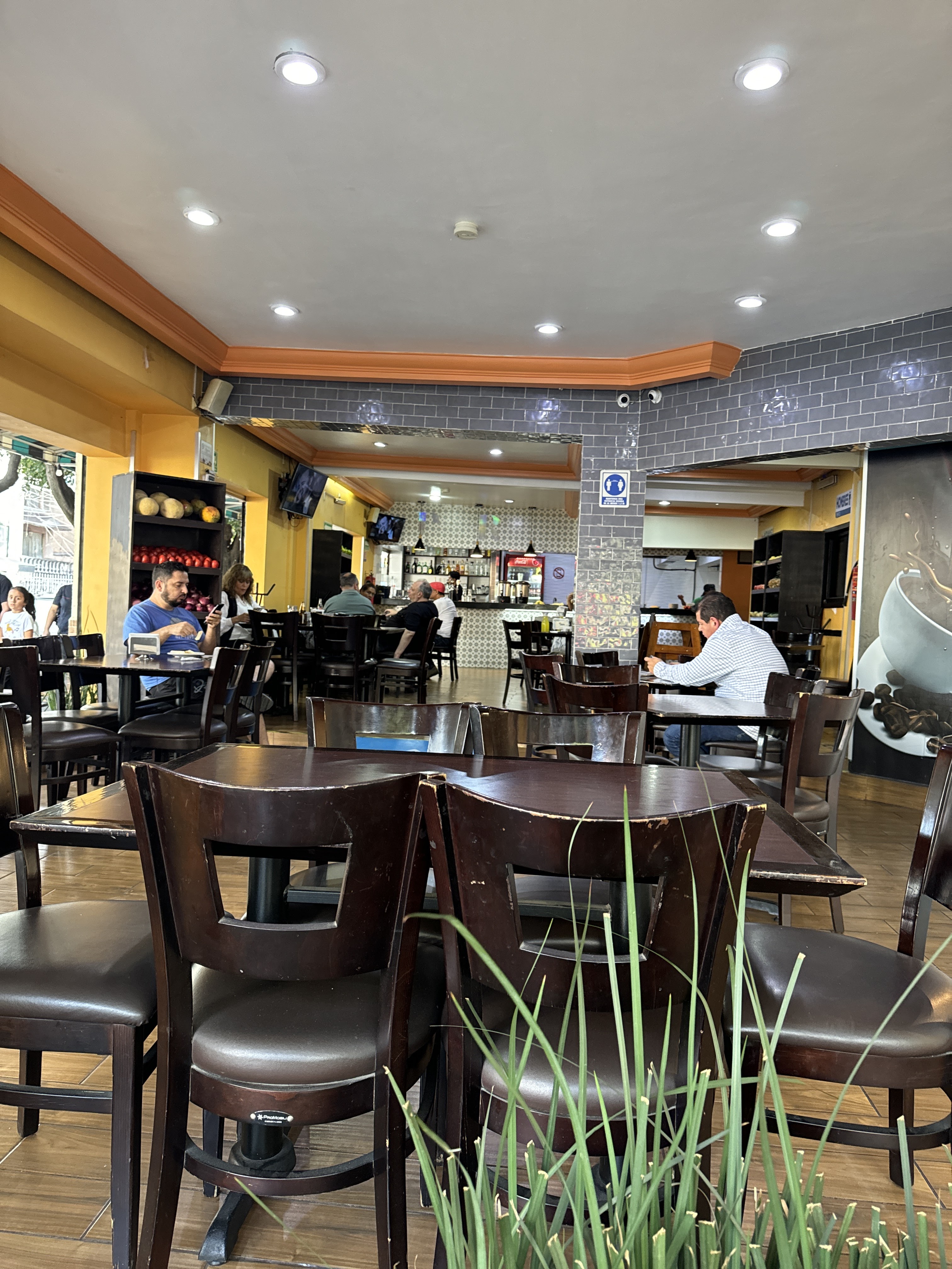 Palmitos Restaurante Xola image 5