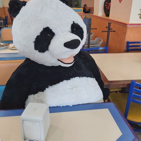 Kowloon Delight Narvarte 九龍餐廳 image 3