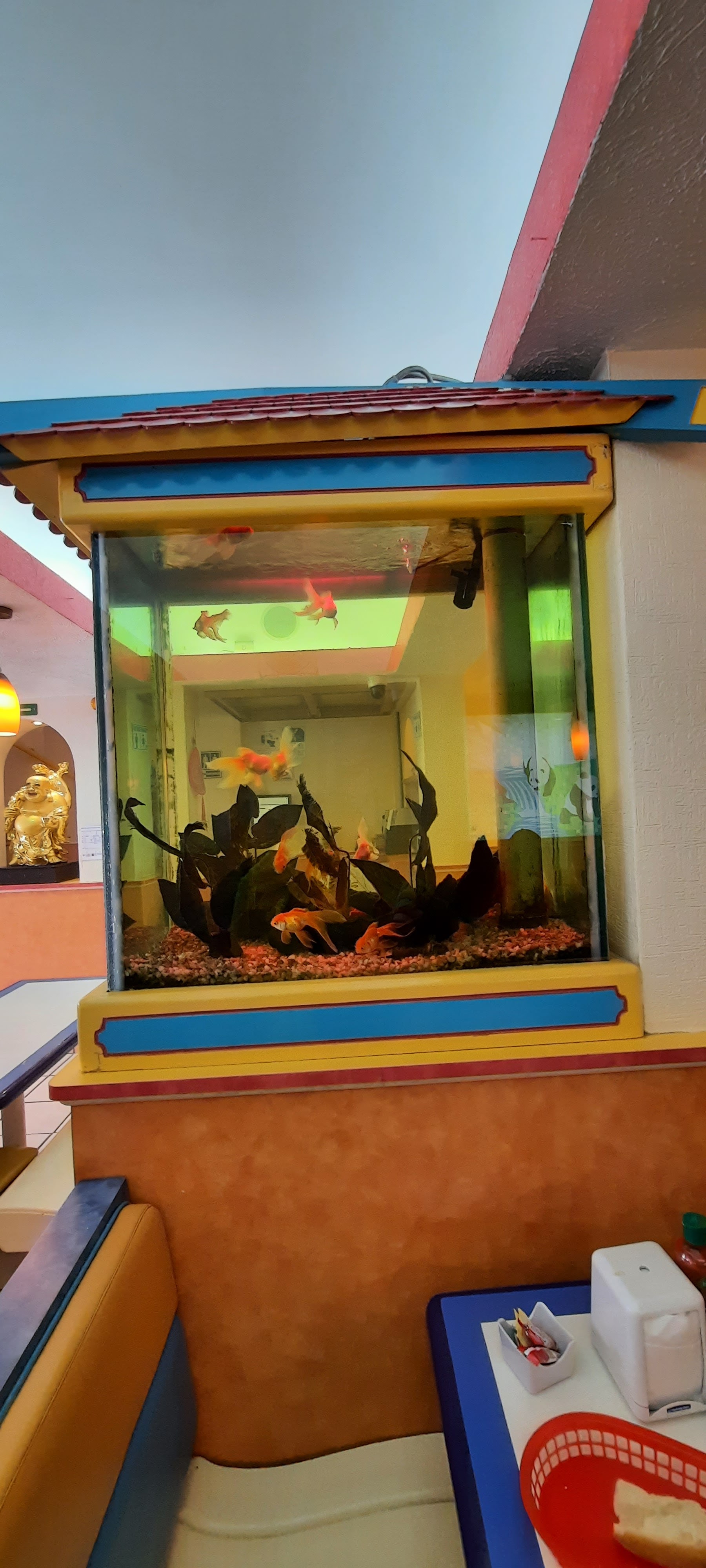 Kowloon Delight Narvarte 九龍餐廳 image 7