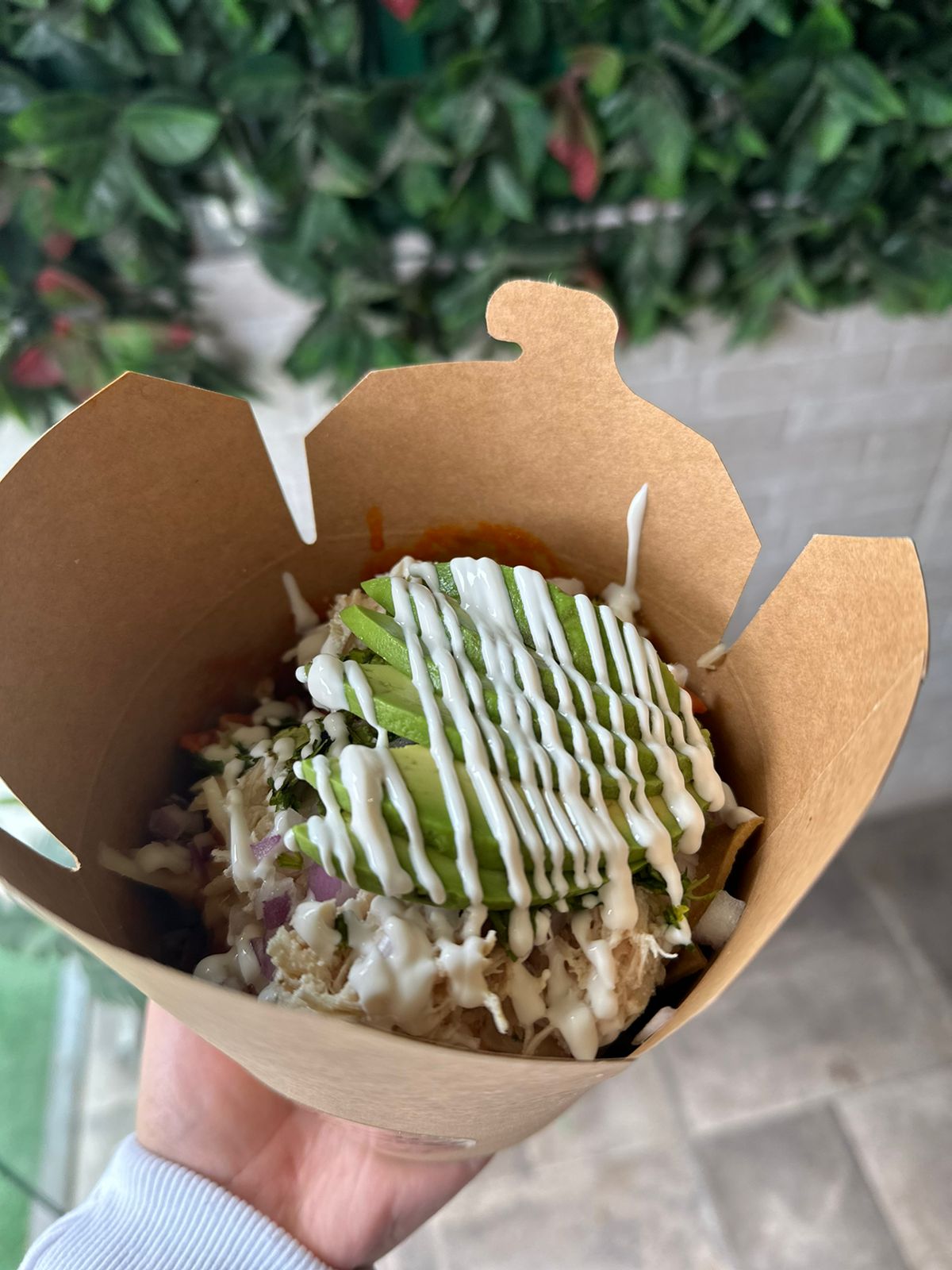 La Terracita image 3