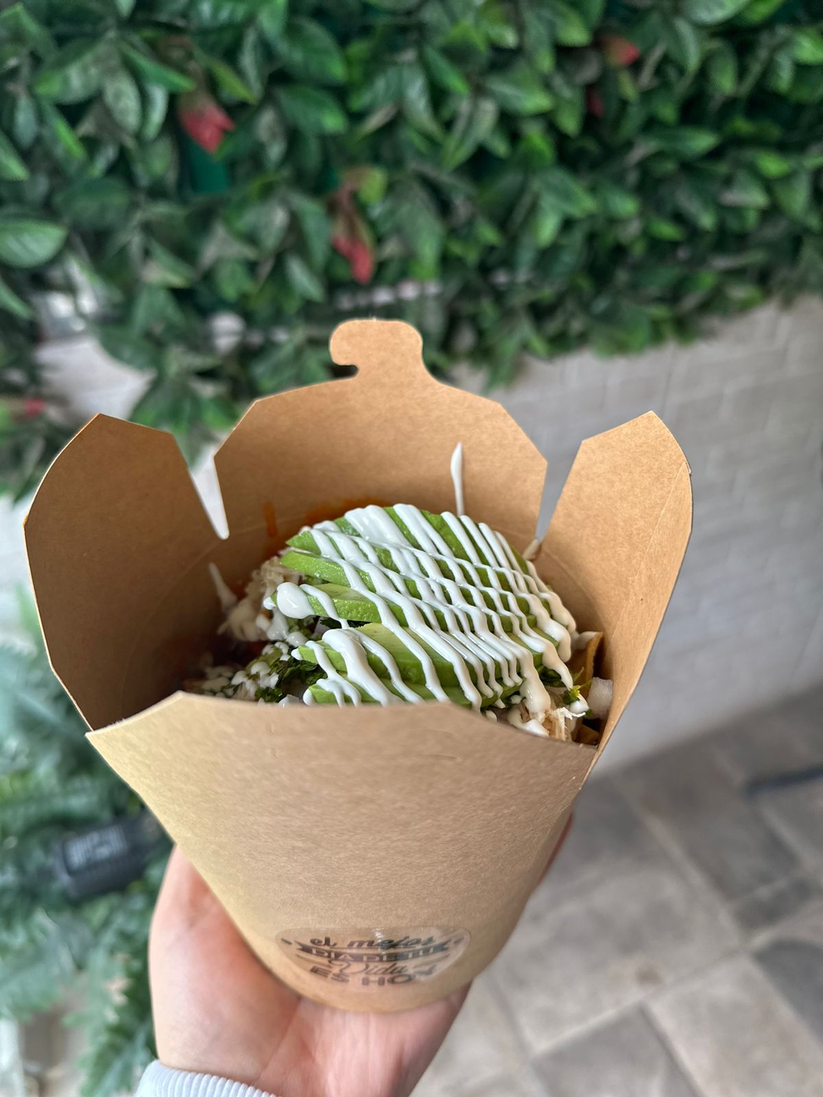 La Terracita image 9