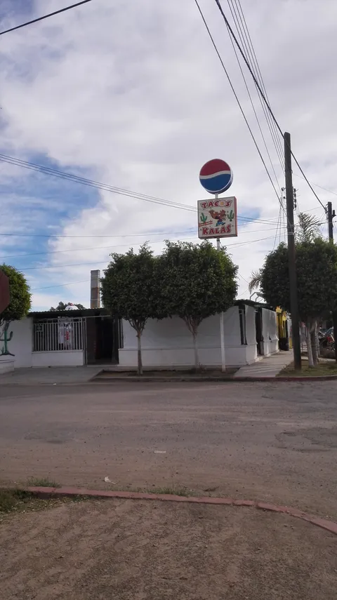 Tacos Kalas image 5