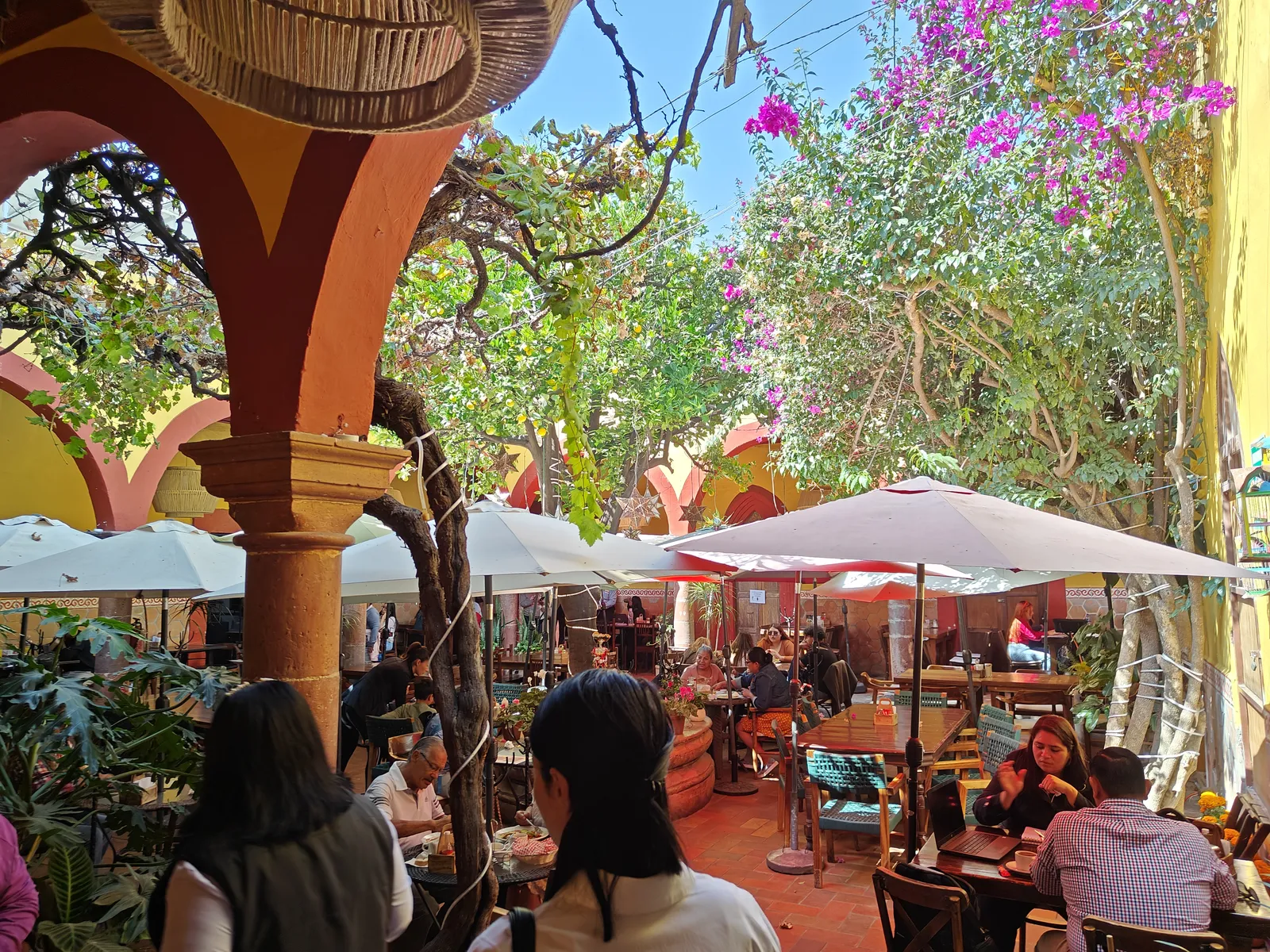 El Fruty Restaurante image 4