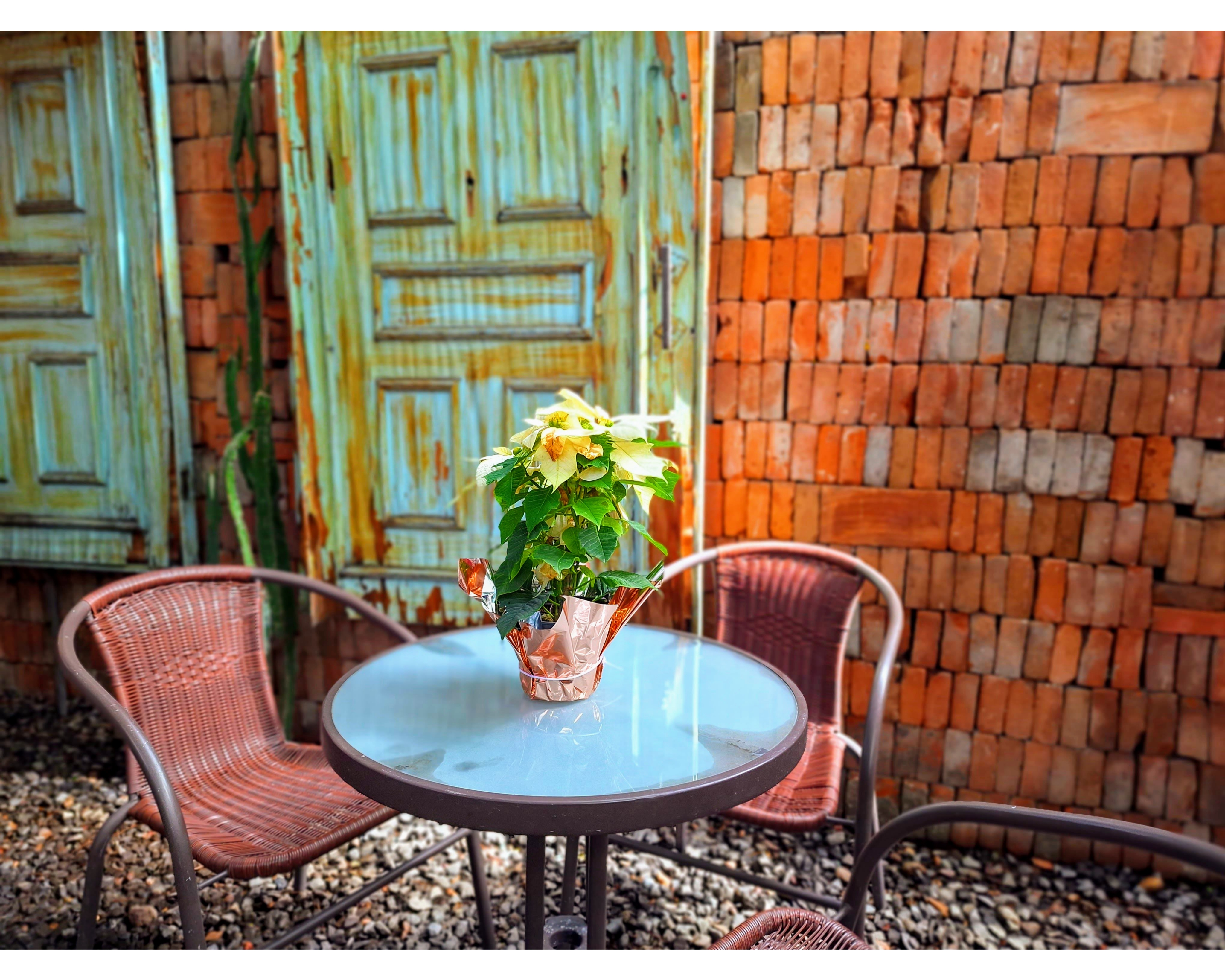 LA ESTACIÓN Restaurante y café image 5