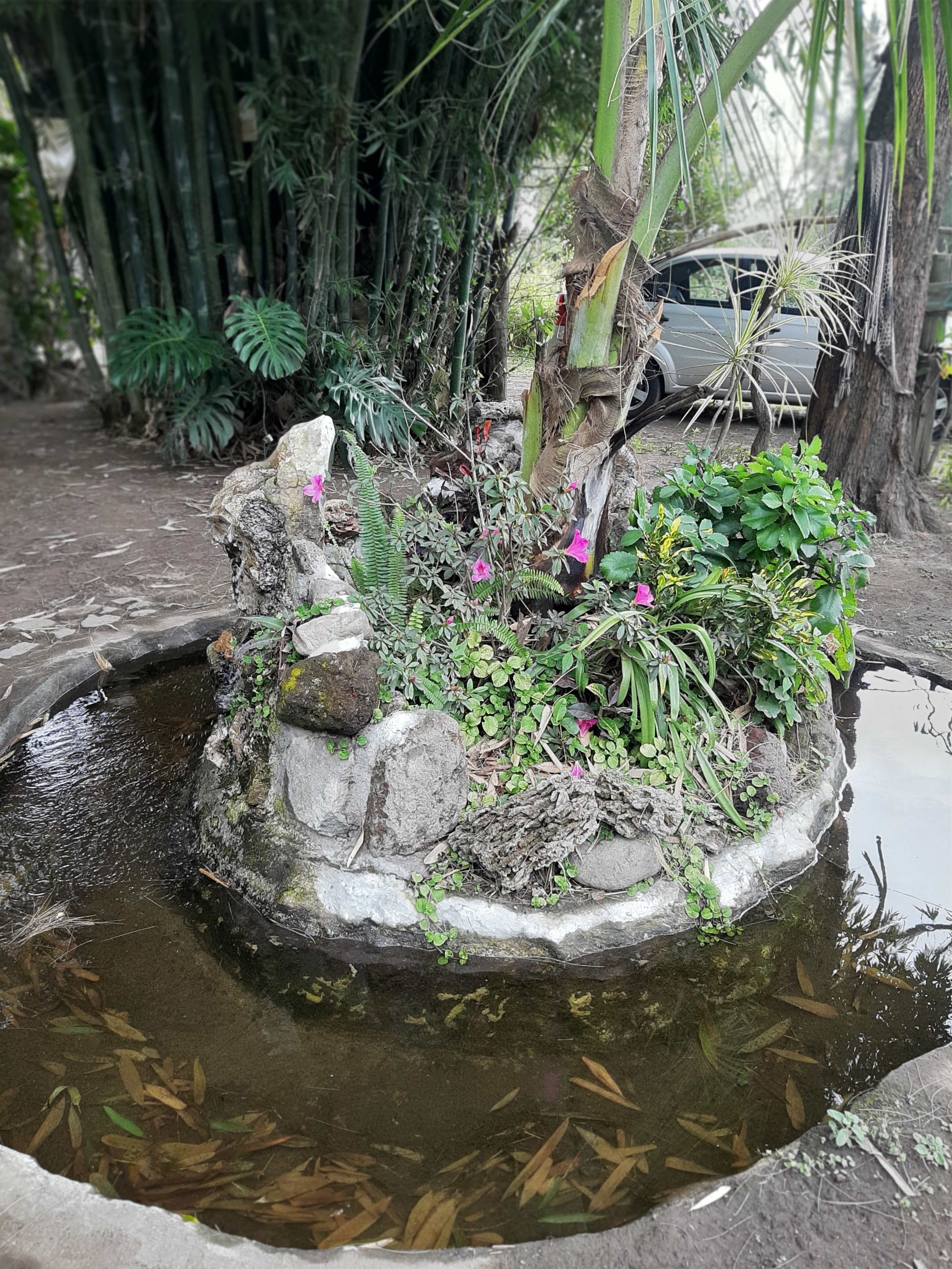 El Rincon Rustico image 9