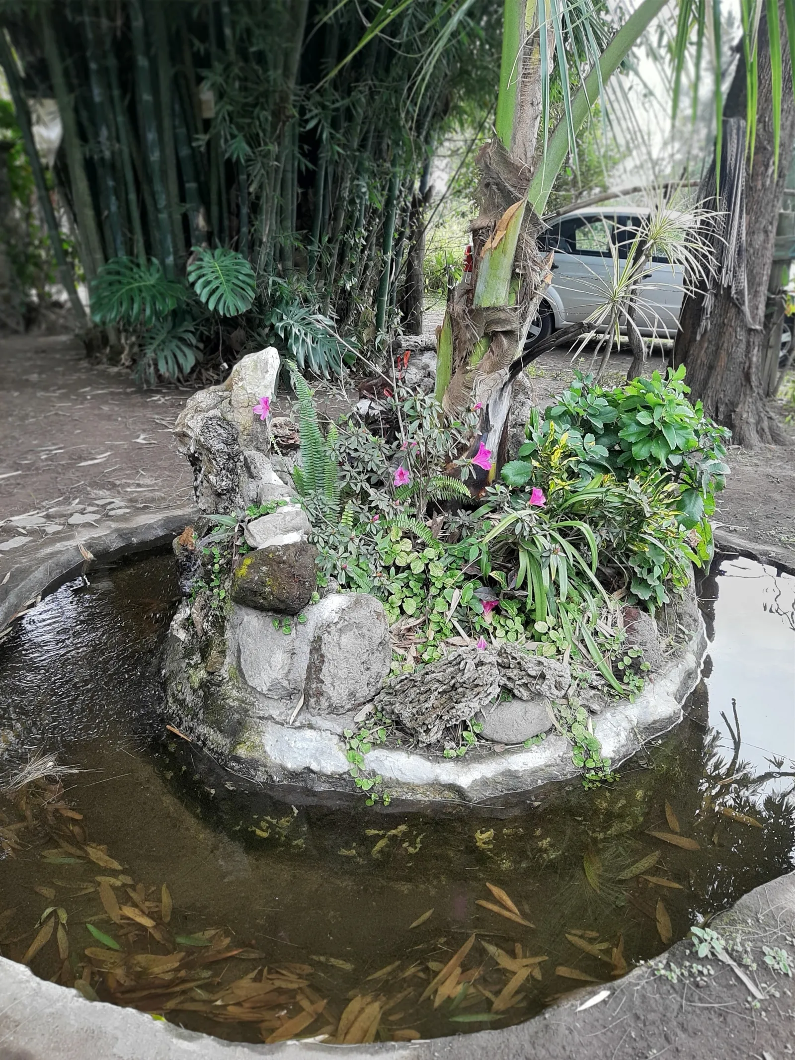 El Rincon Rustico image 9