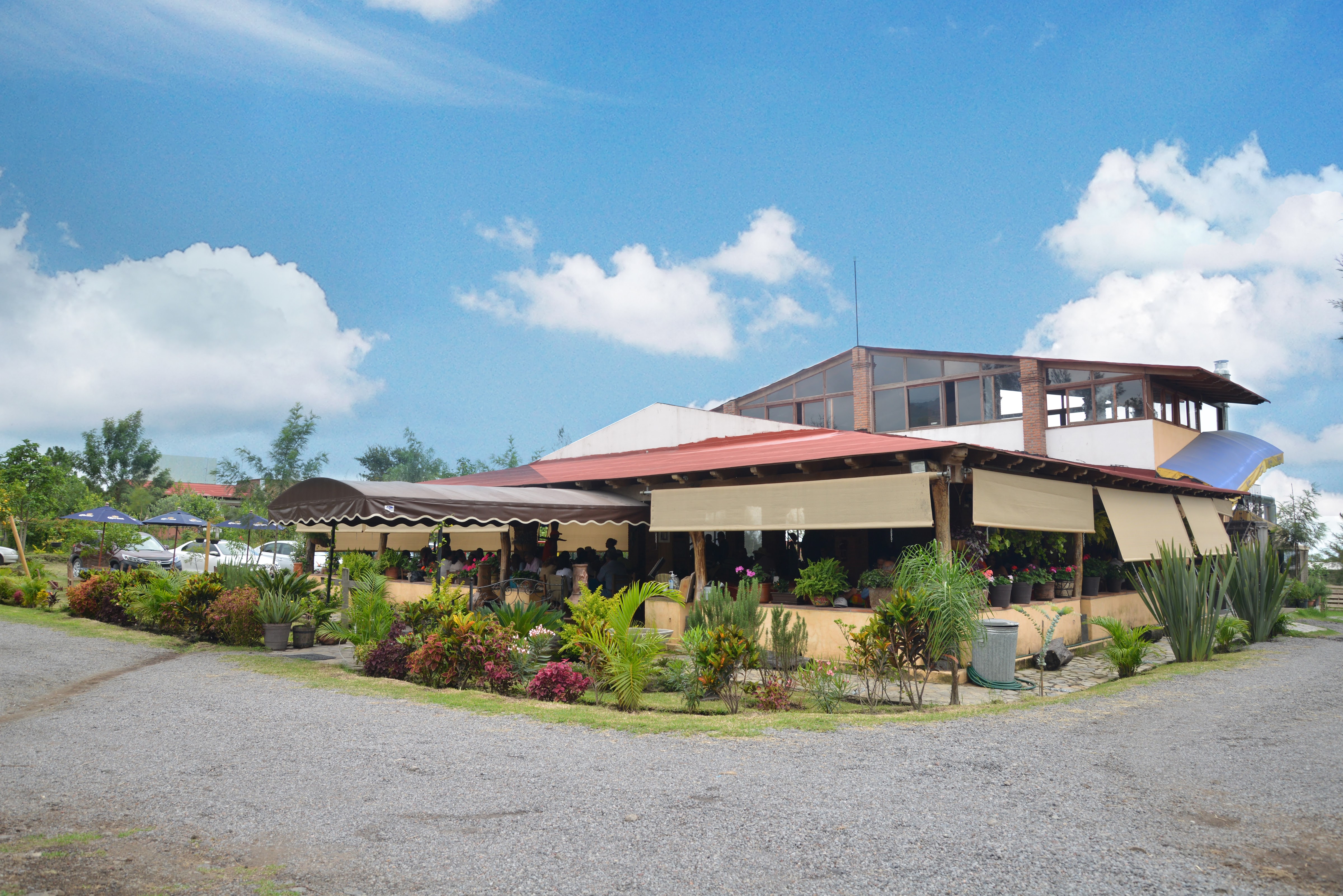 La Terraza de Mary image 3