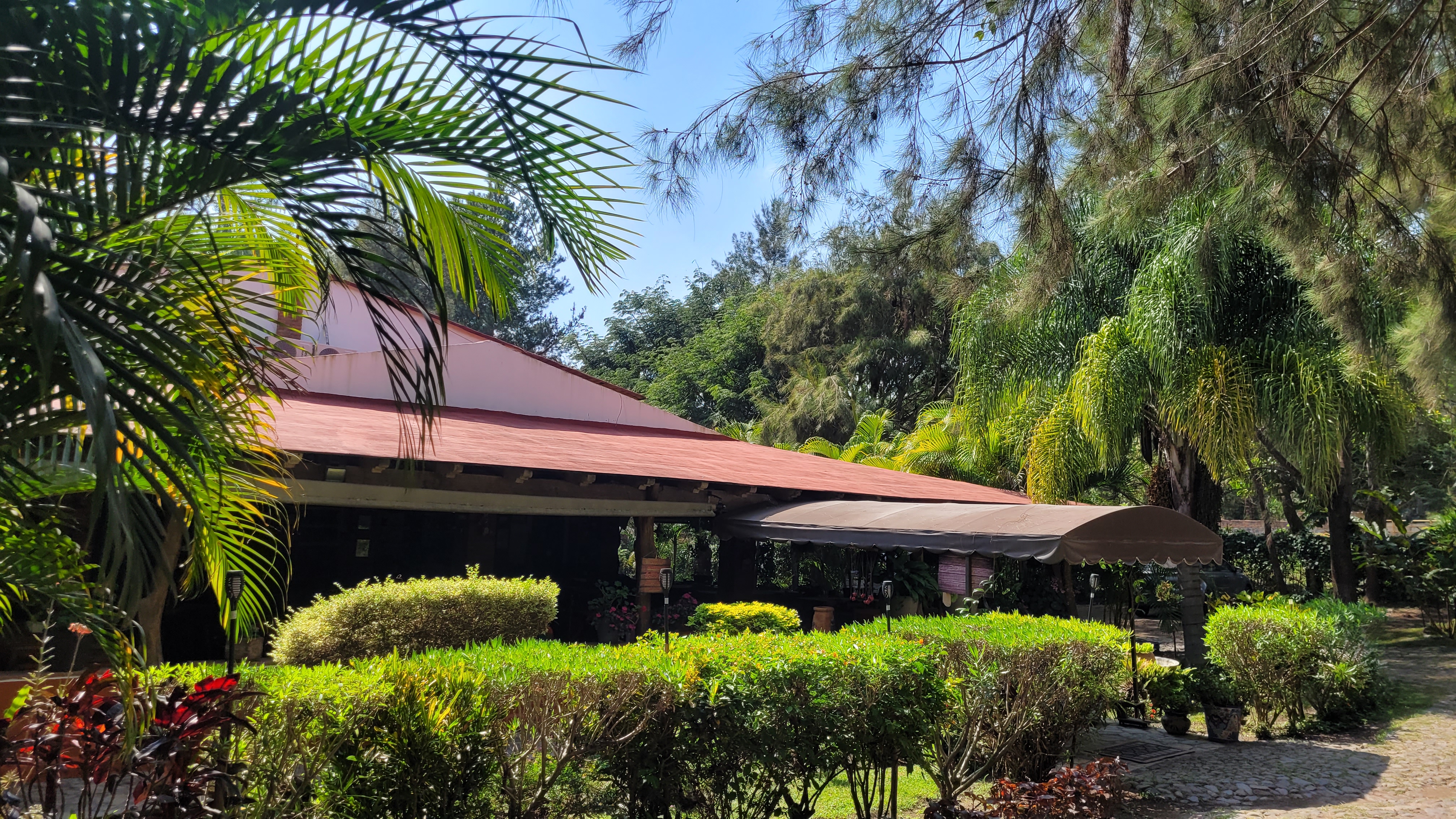 La Terraza de Mary image 9