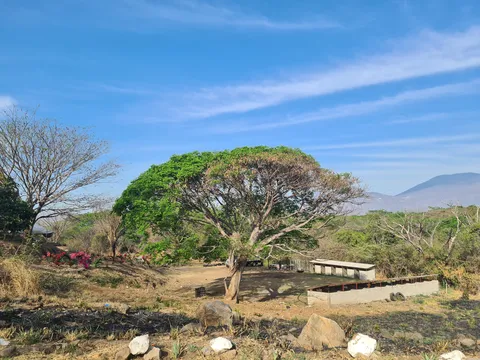 El Fogón de Comala image 4