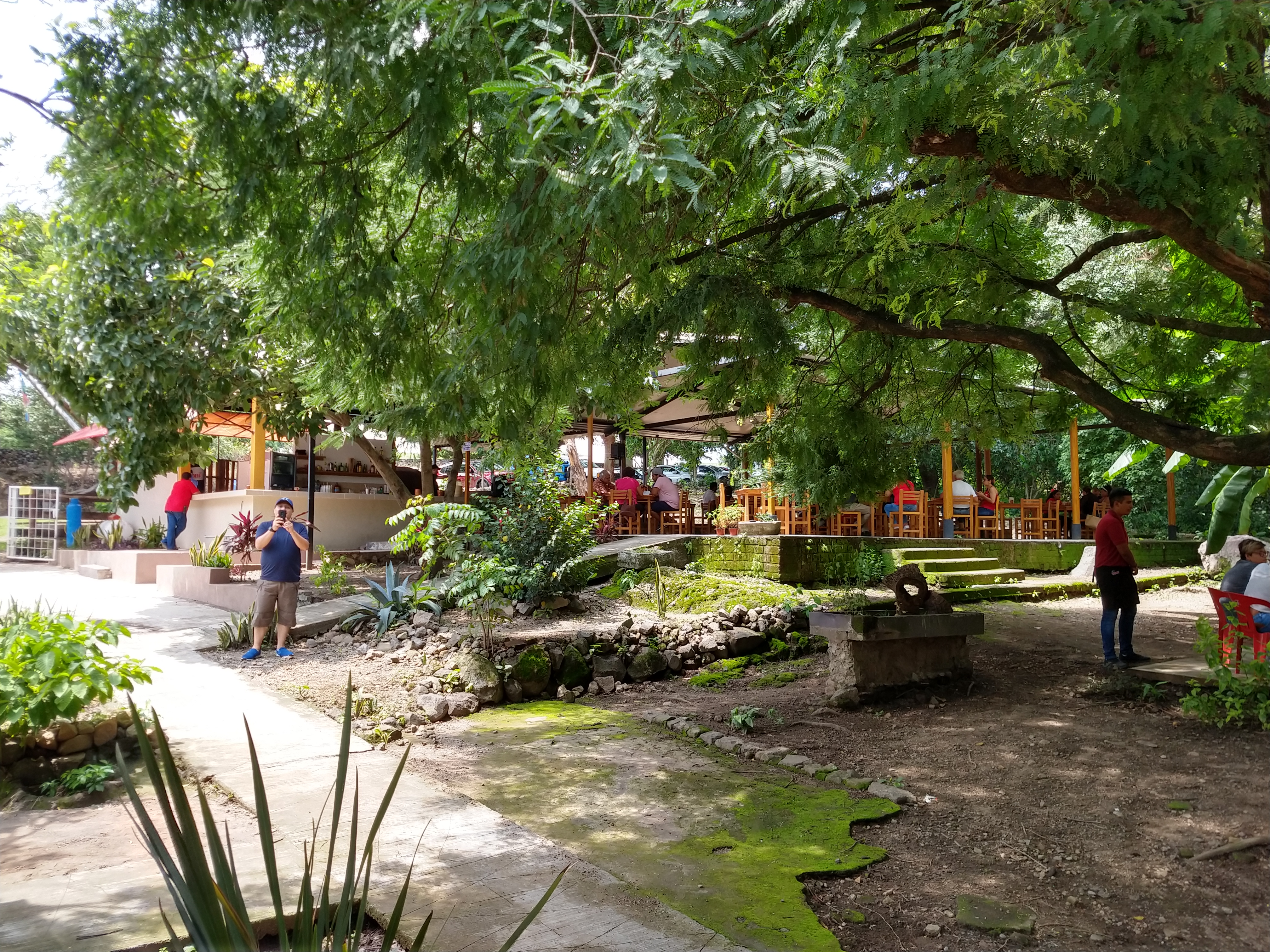 Los Cafetales Restaurant Campestre image 7
