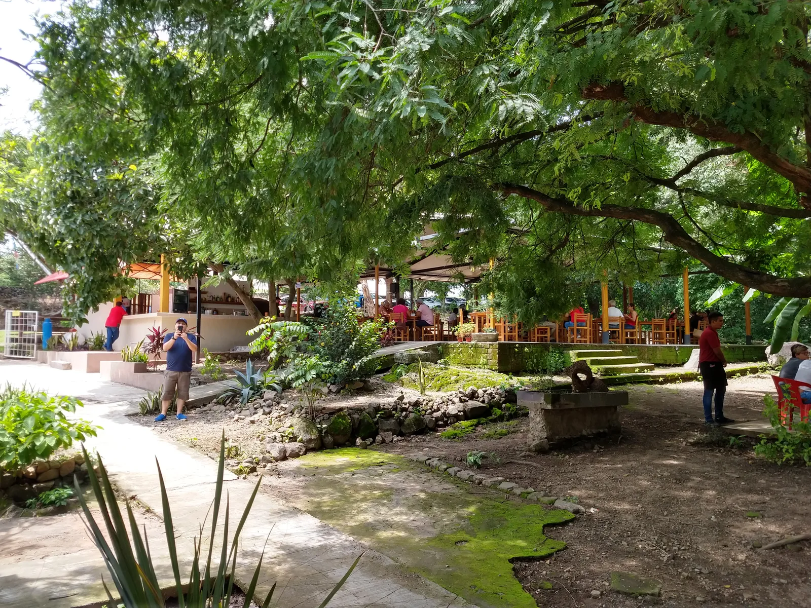 Los Cafetales Restaurant Campestre image 7