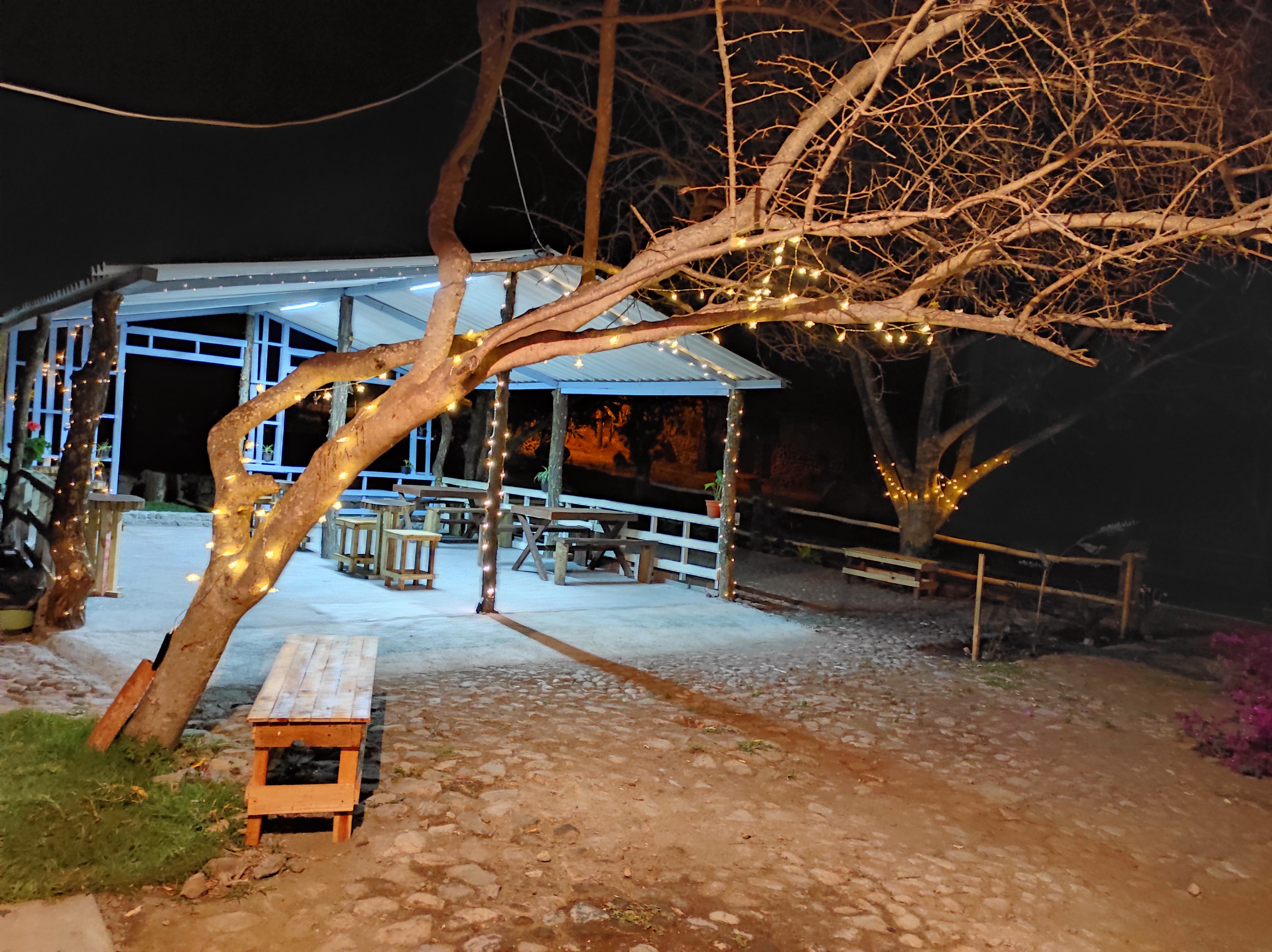 Café Escondido image 3