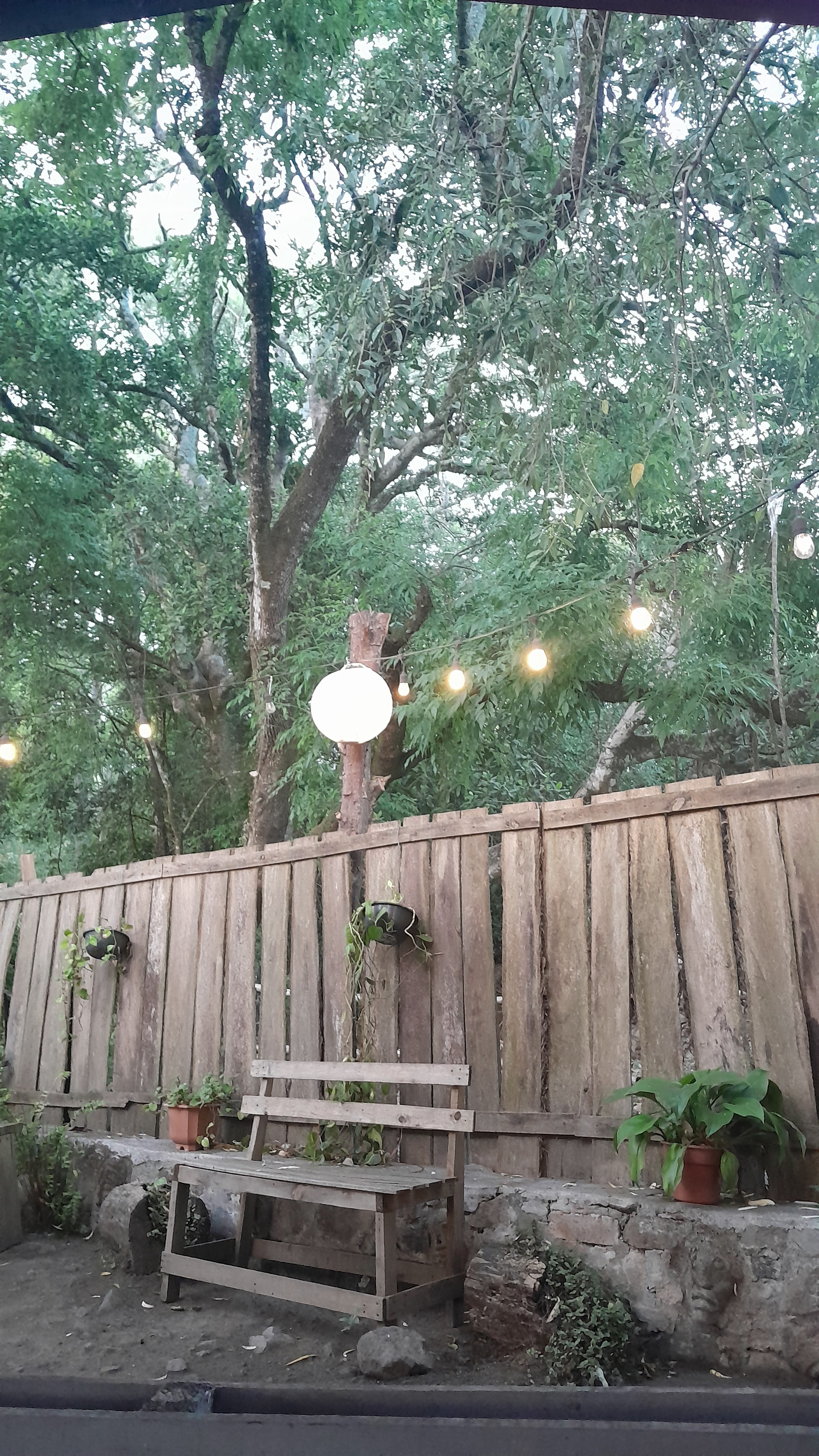 Café Escondido image 6