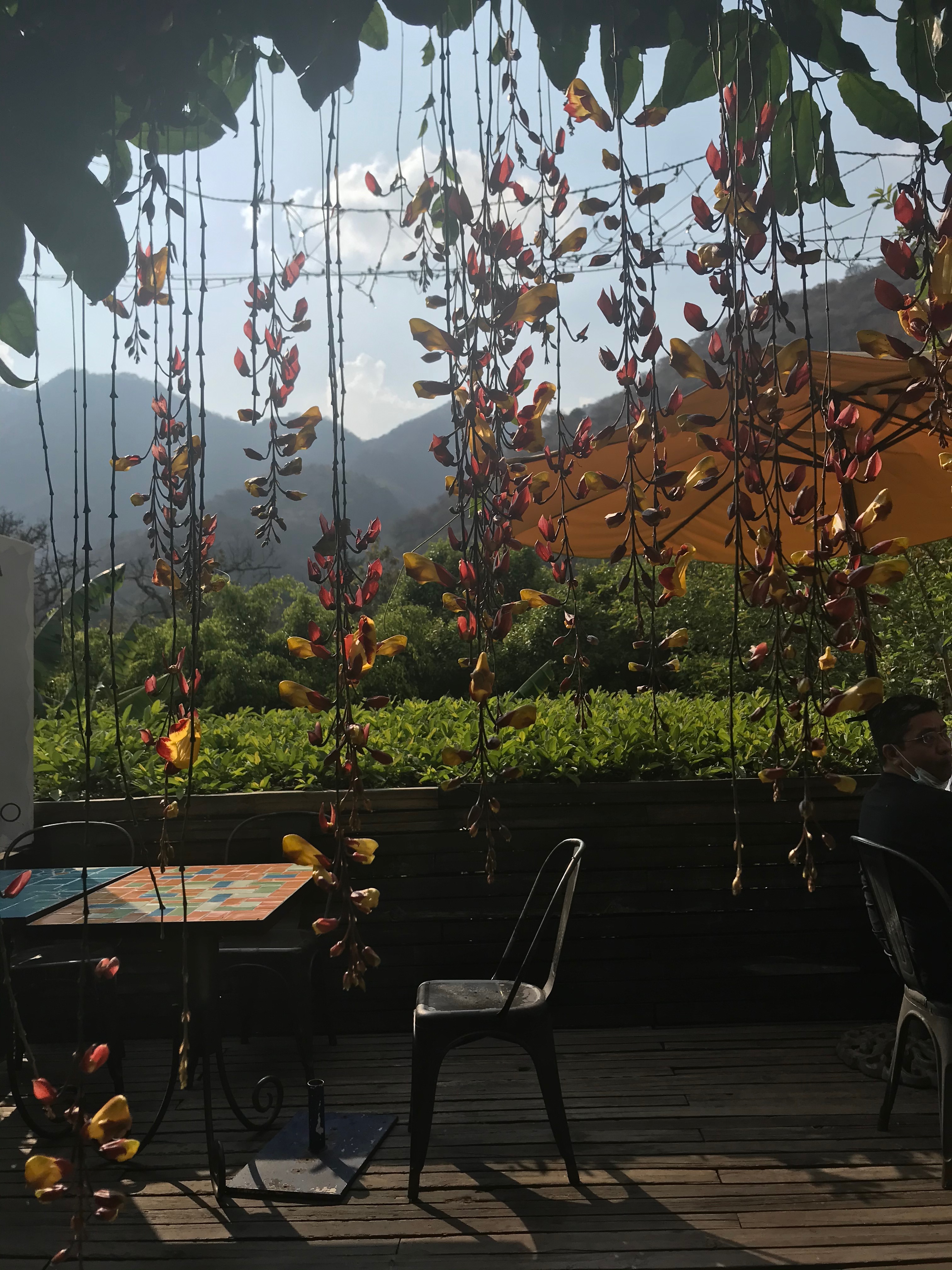 Los Placeres Malinalco image 1