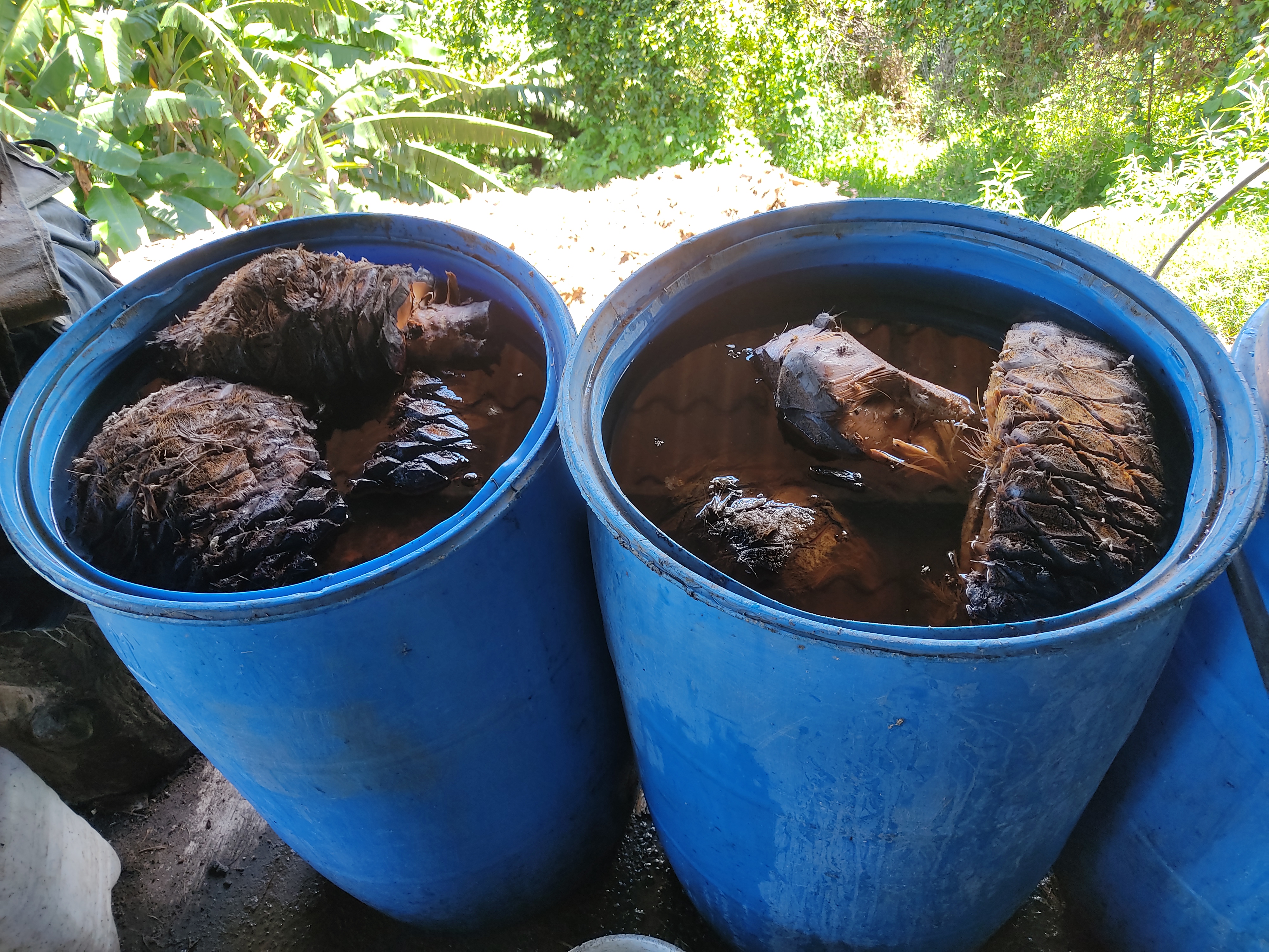 Mezcal La Cascada. image 1