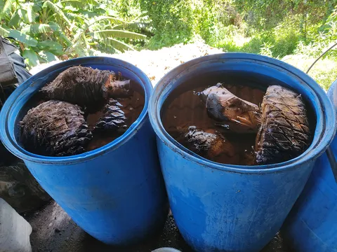 Mezcal La Cascada. image 1