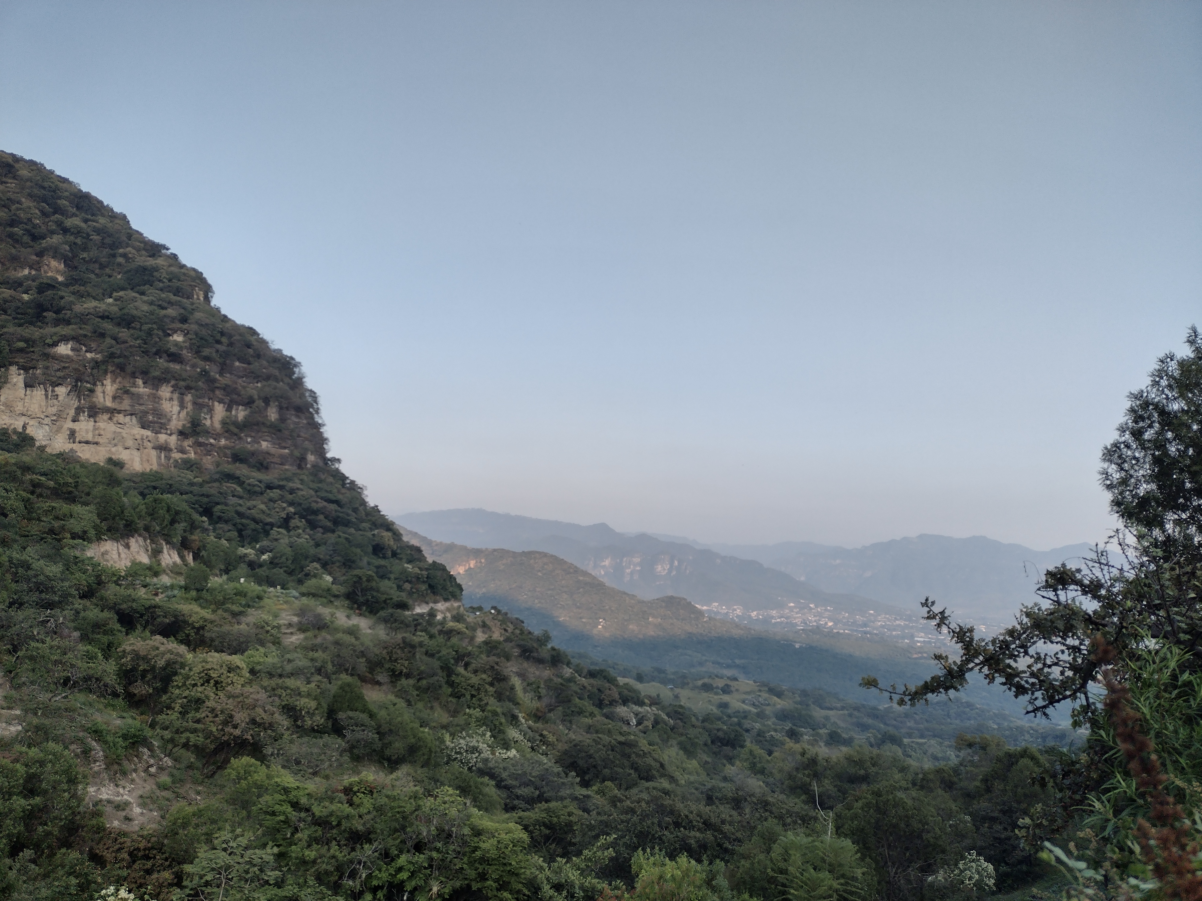 Mezcal La Cascada. image 2