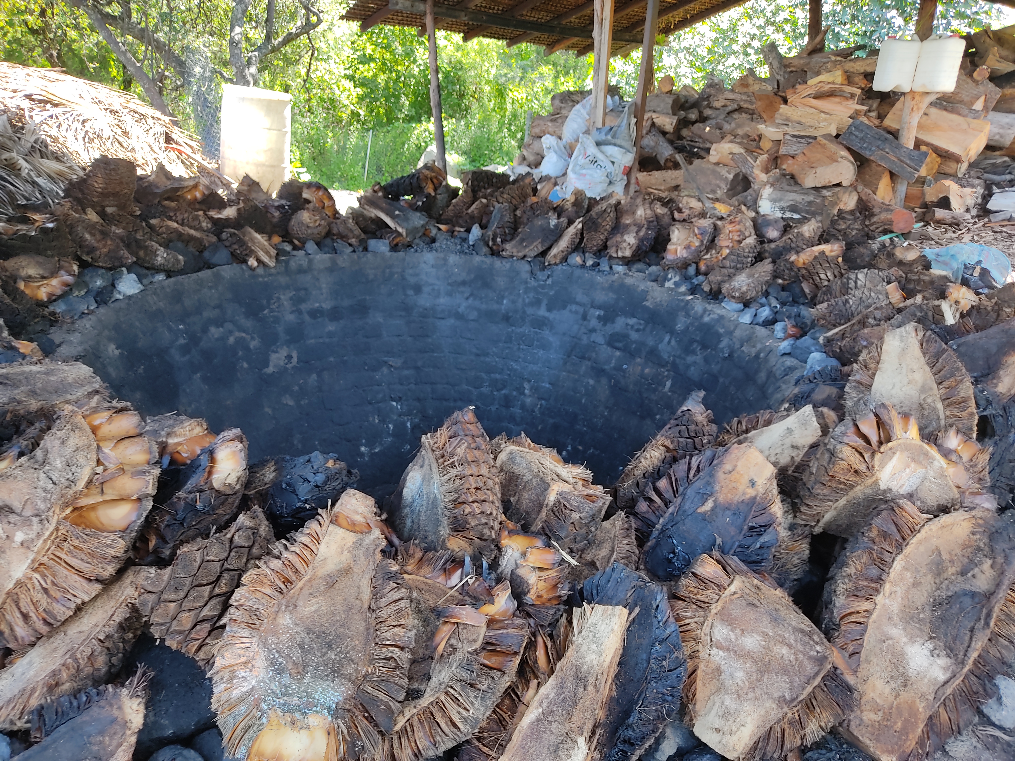 Mezcal La Cascada. image 3