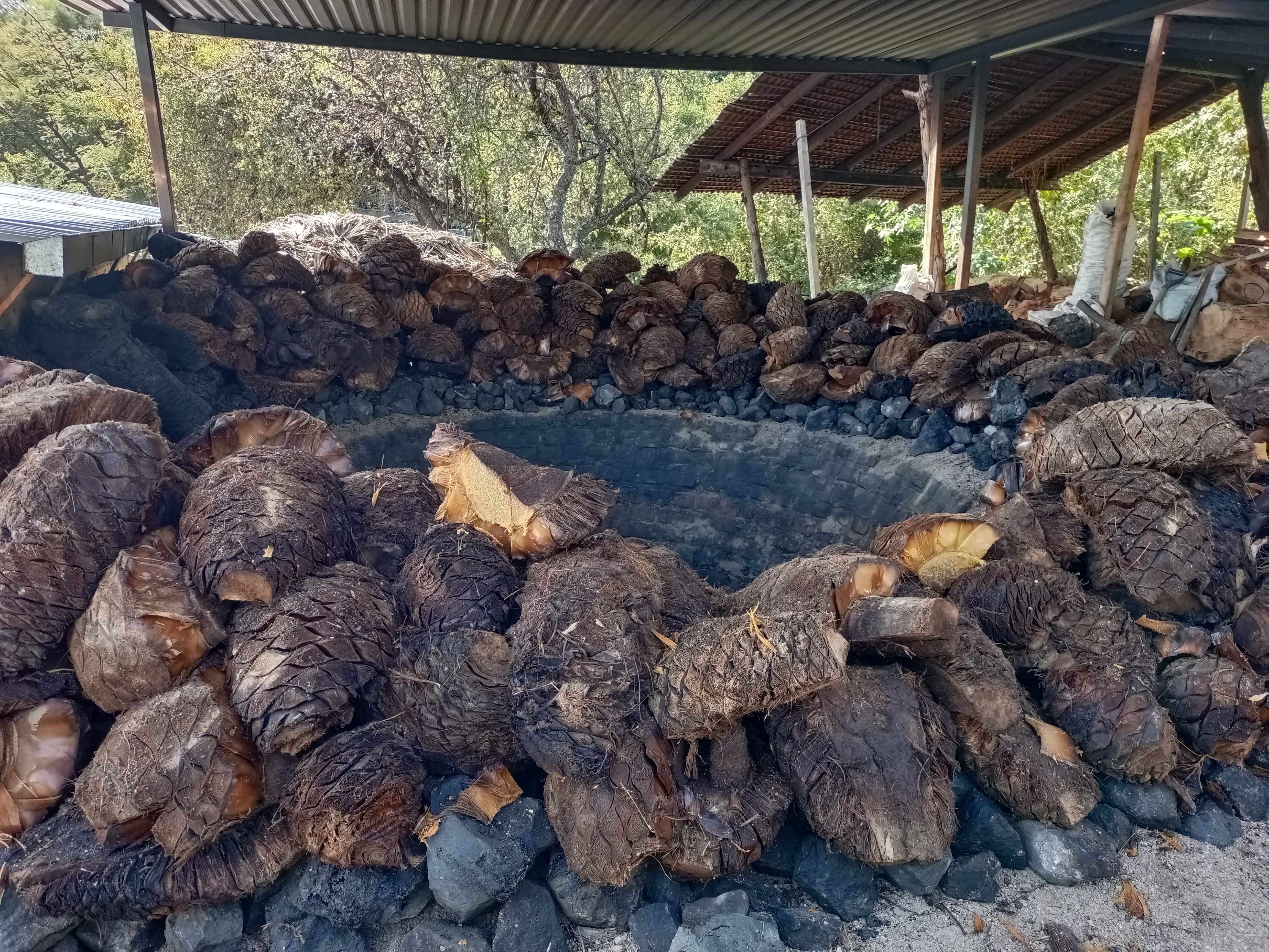 Mezcal La Cascada. image 4