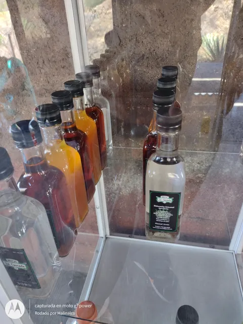 Mezcal La Cascada. image 5