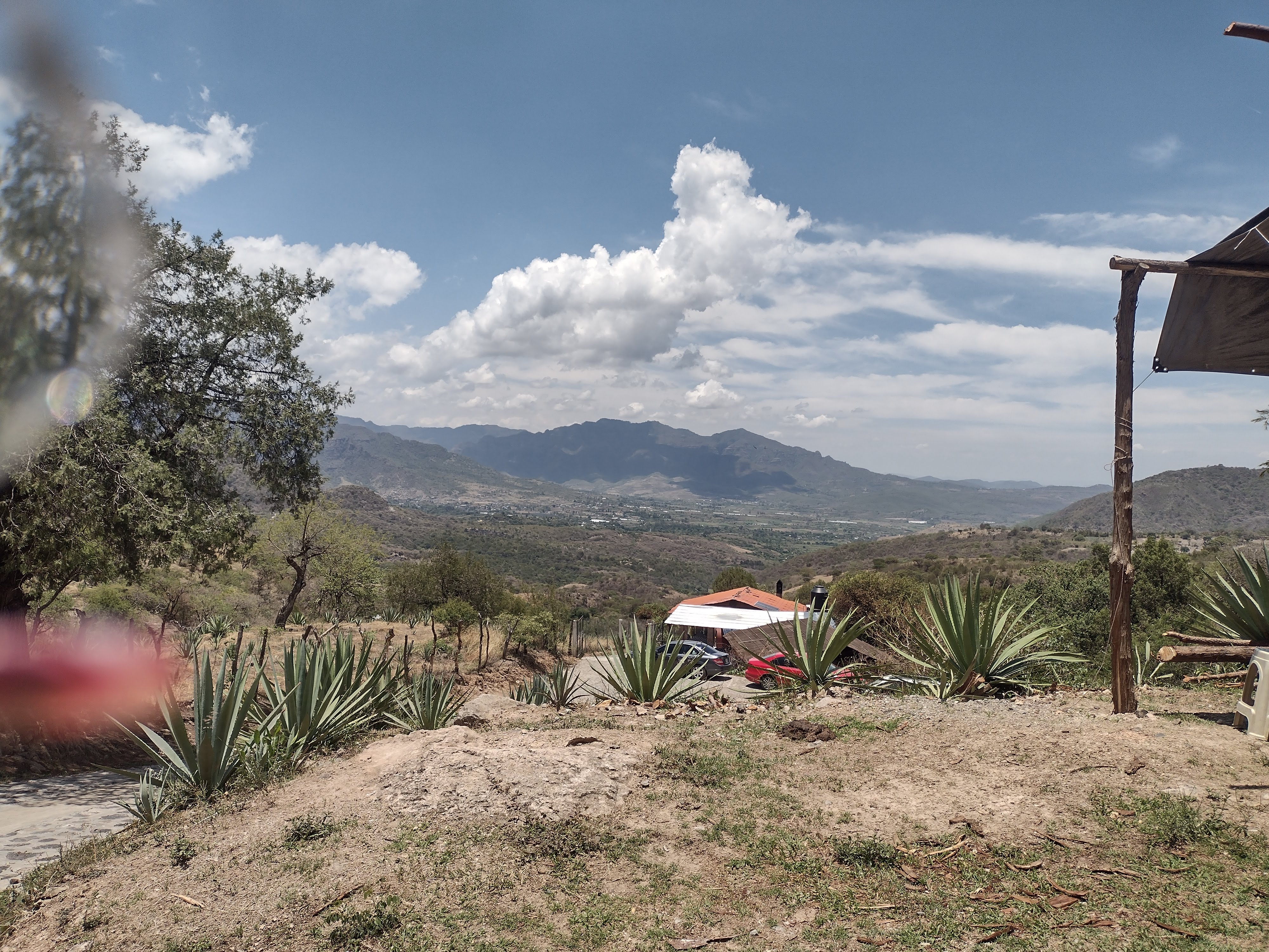 Mezcal La Cascada. image 8