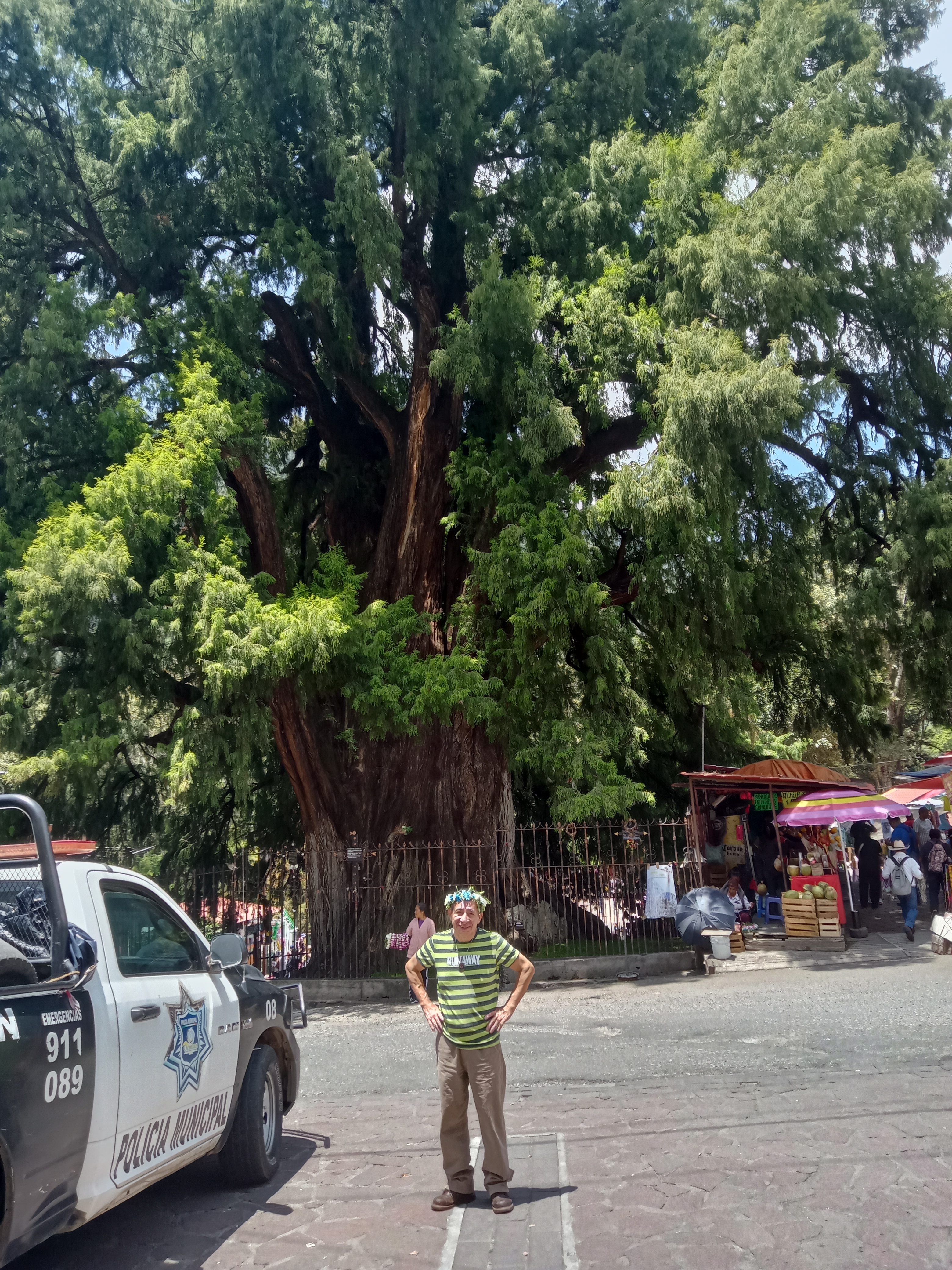 Restaurante Civarys image 9