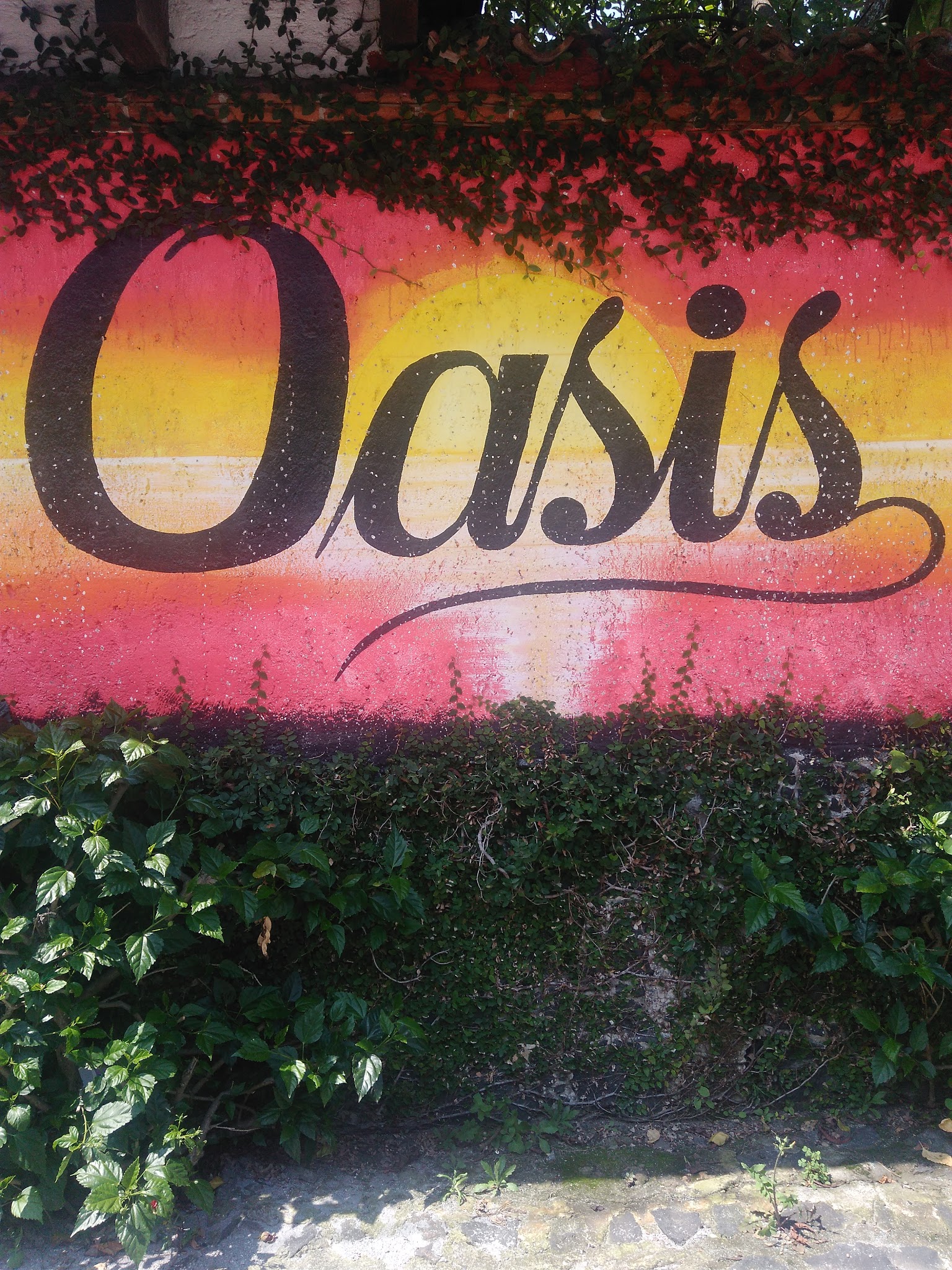 OASIS (Restaurant-bar) image 3