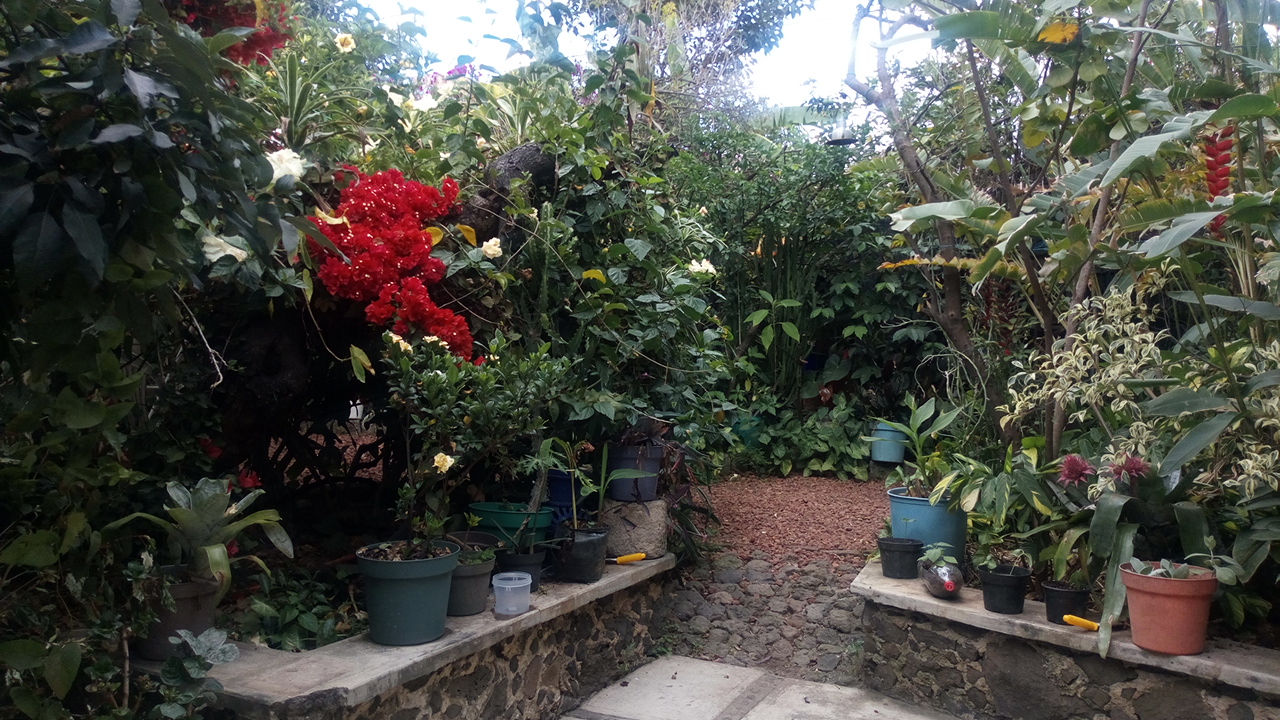 OASIS (Restaurant-bar) image 7