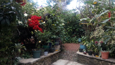 OASIS (Restaurant-bar) image 7