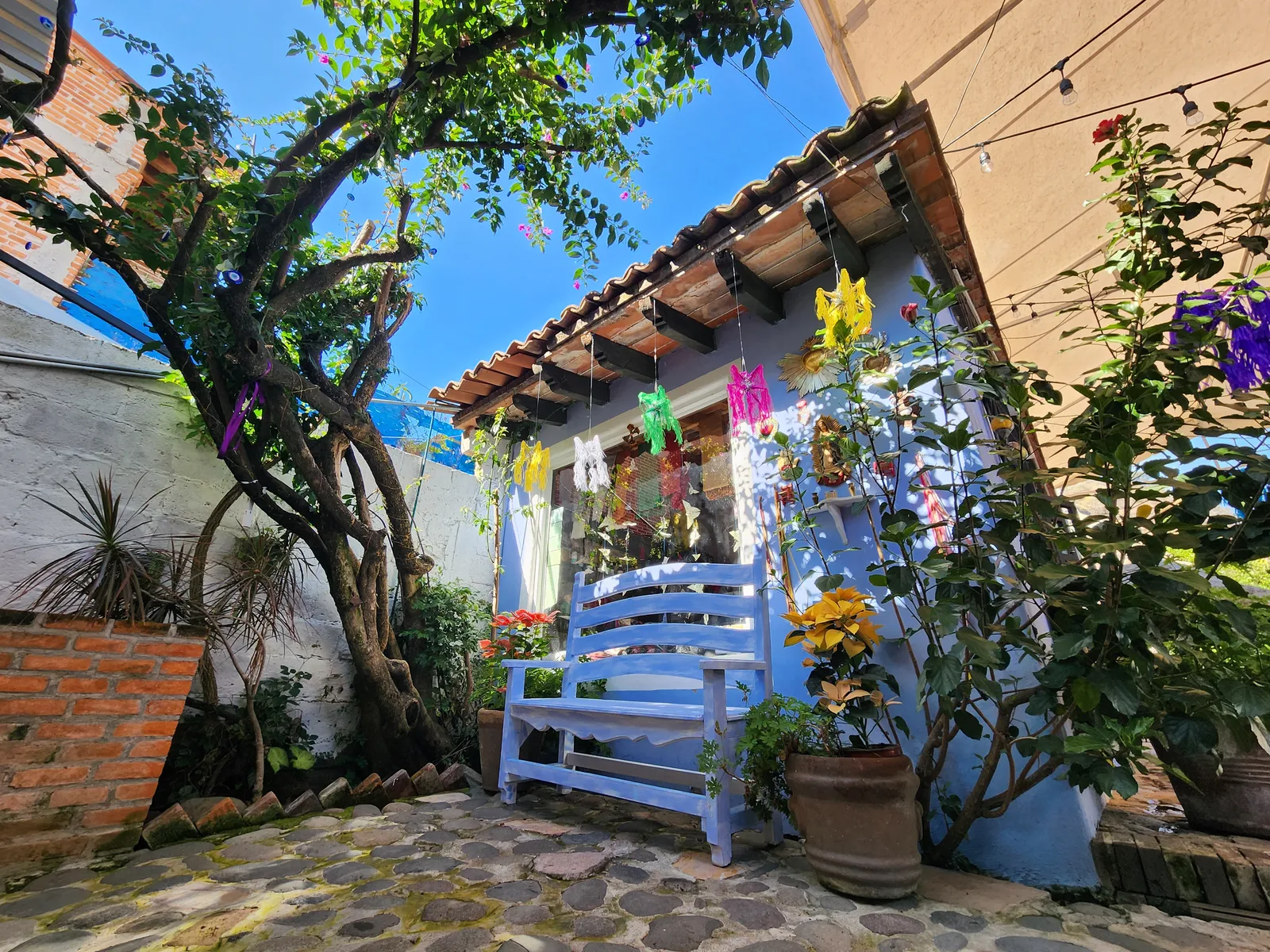 Las Palomas image 3