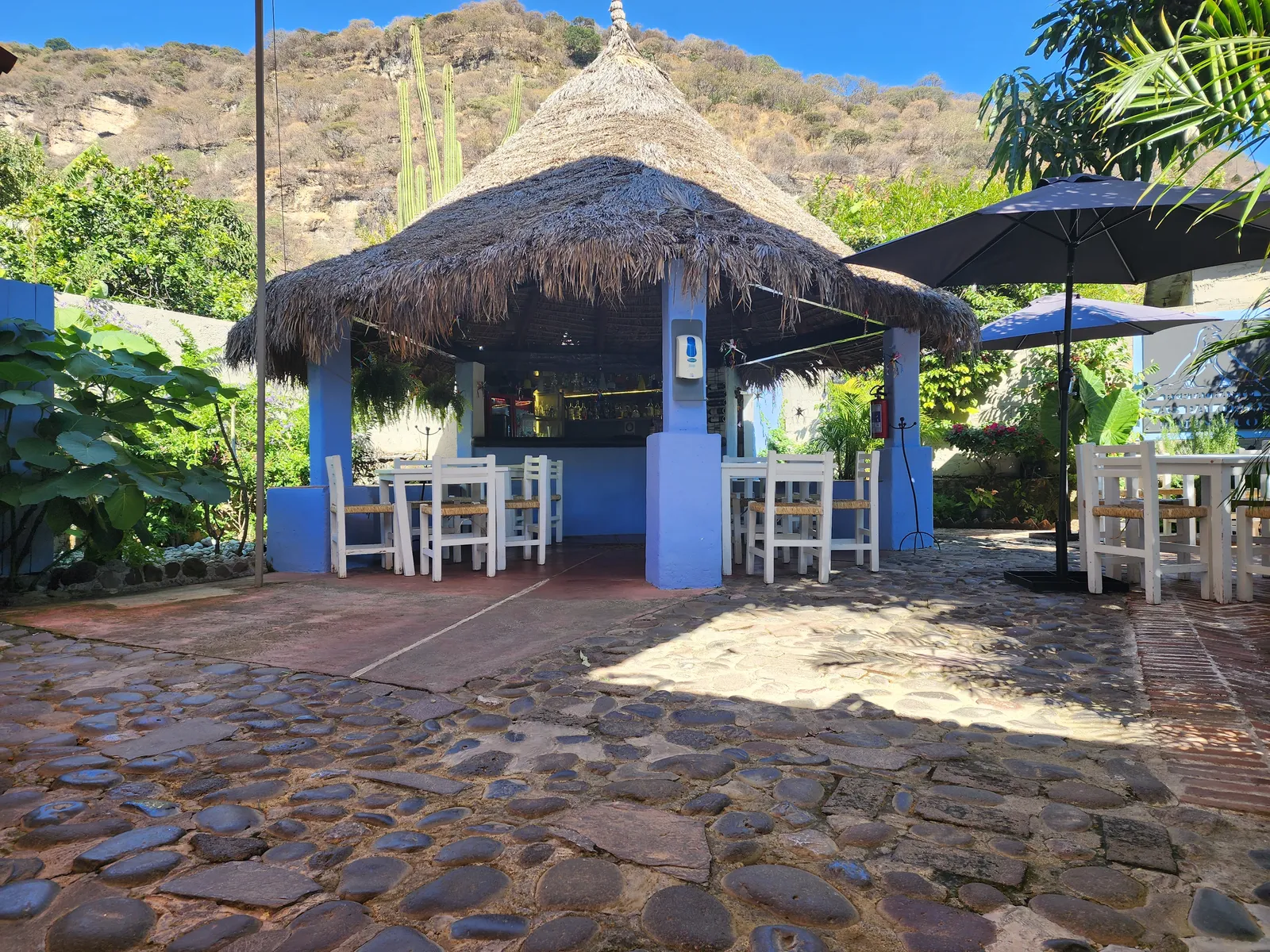 Las Palomas image 4