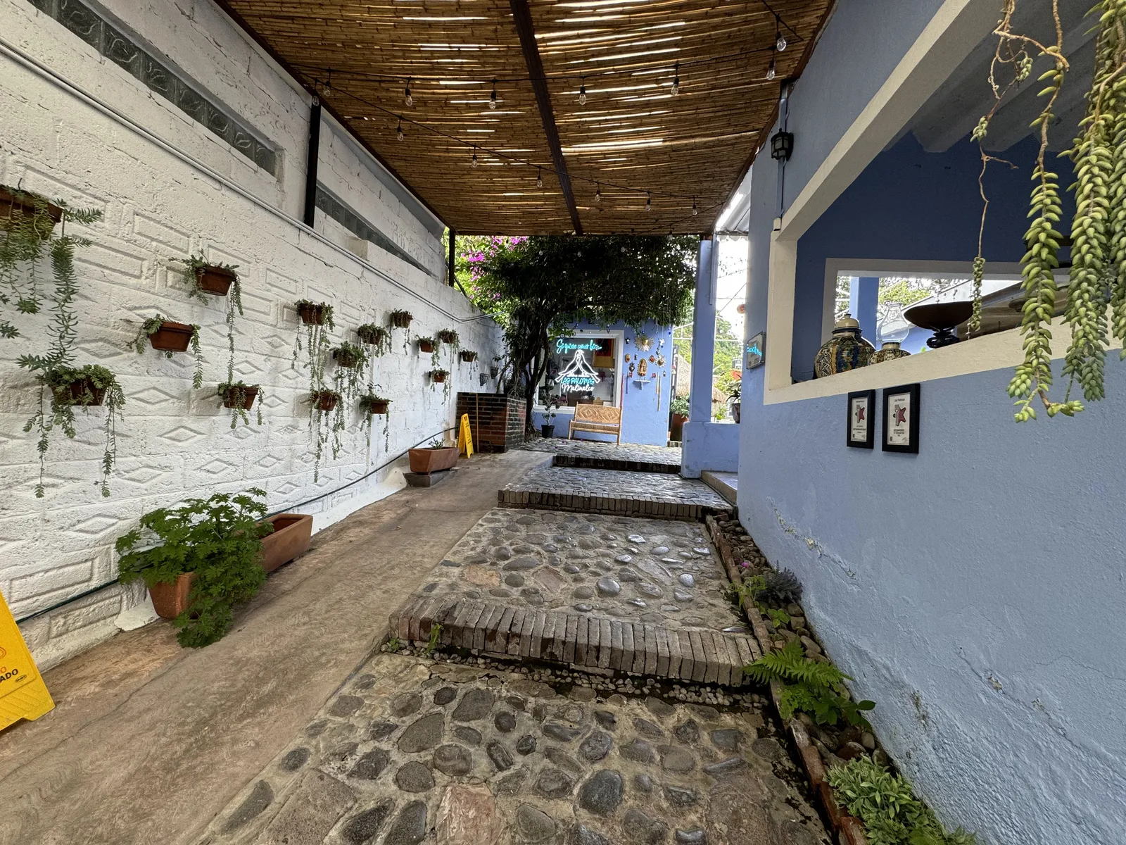 Las Palomas image 8