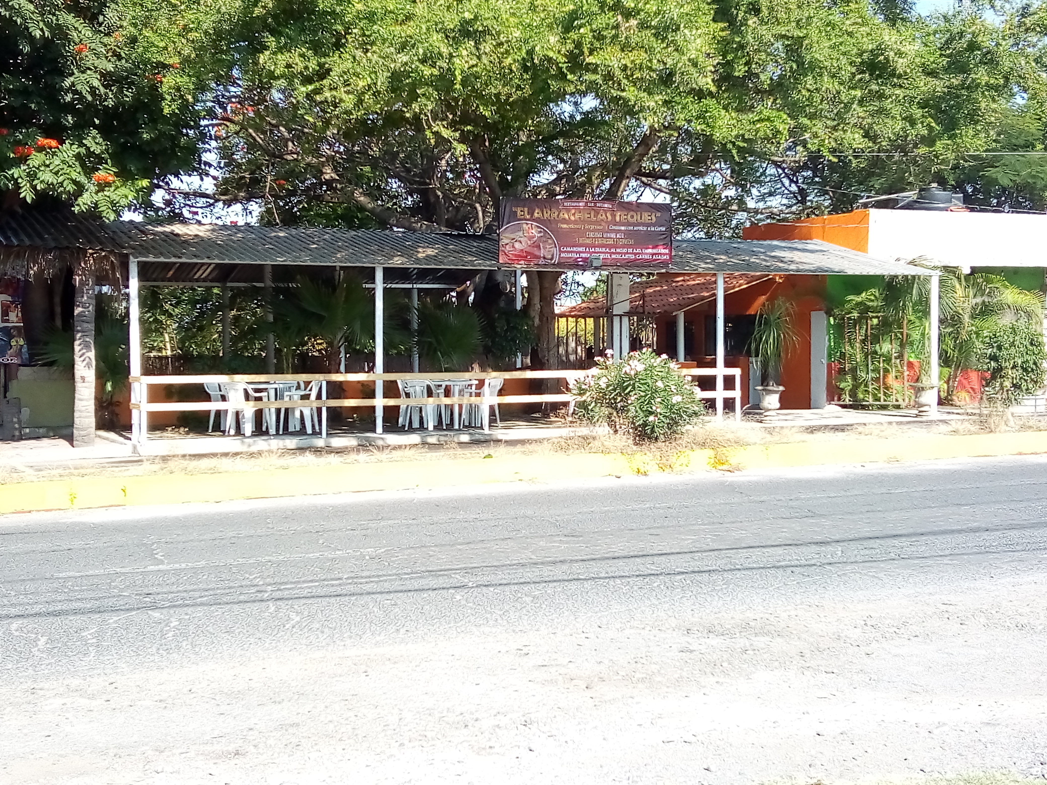 El Arracheras Teques image 4