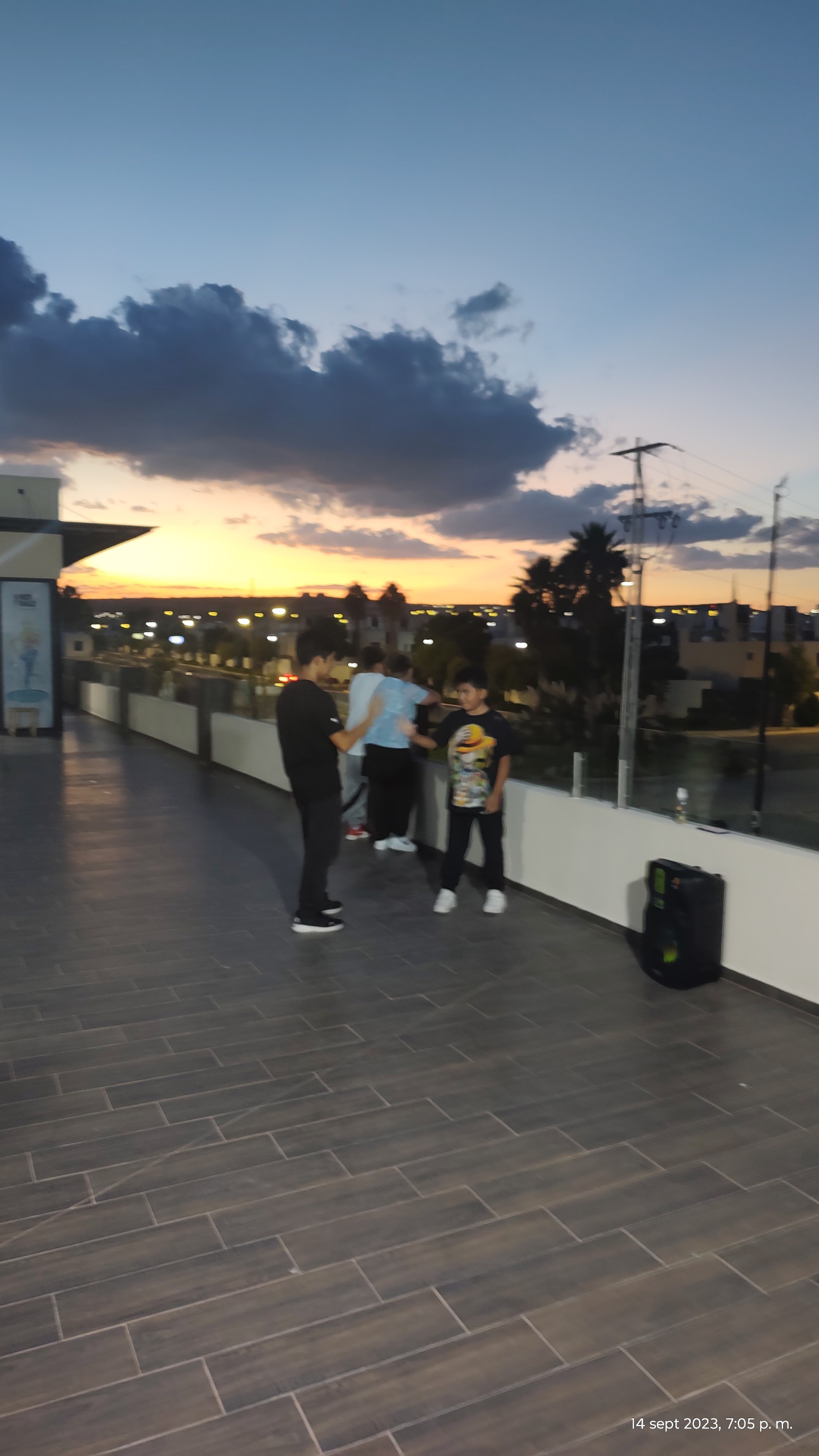 LOS ALEBRIJES 1 image 8