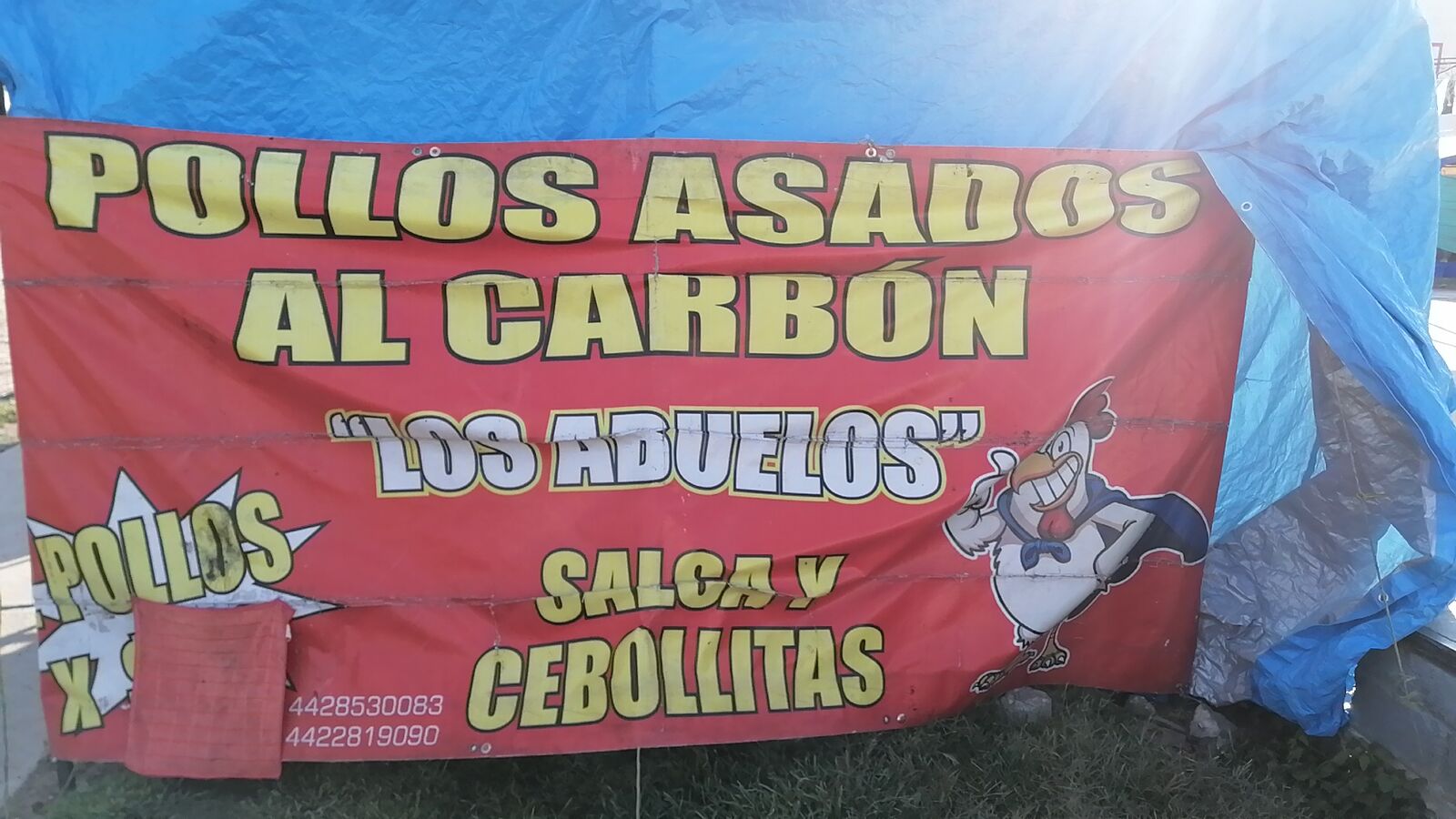 Pollos asados al carbón los abuelos image 1