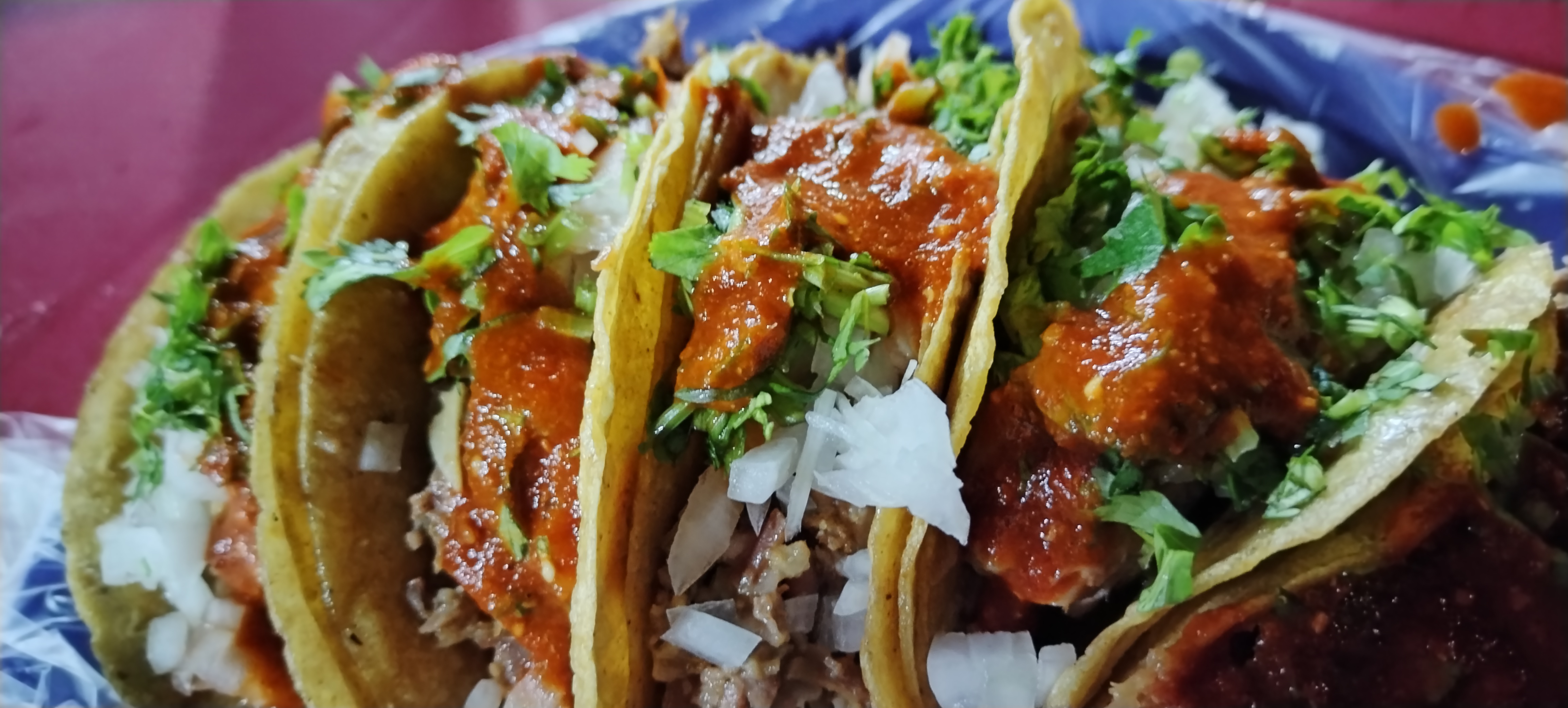 Taqueria los carnales image 1