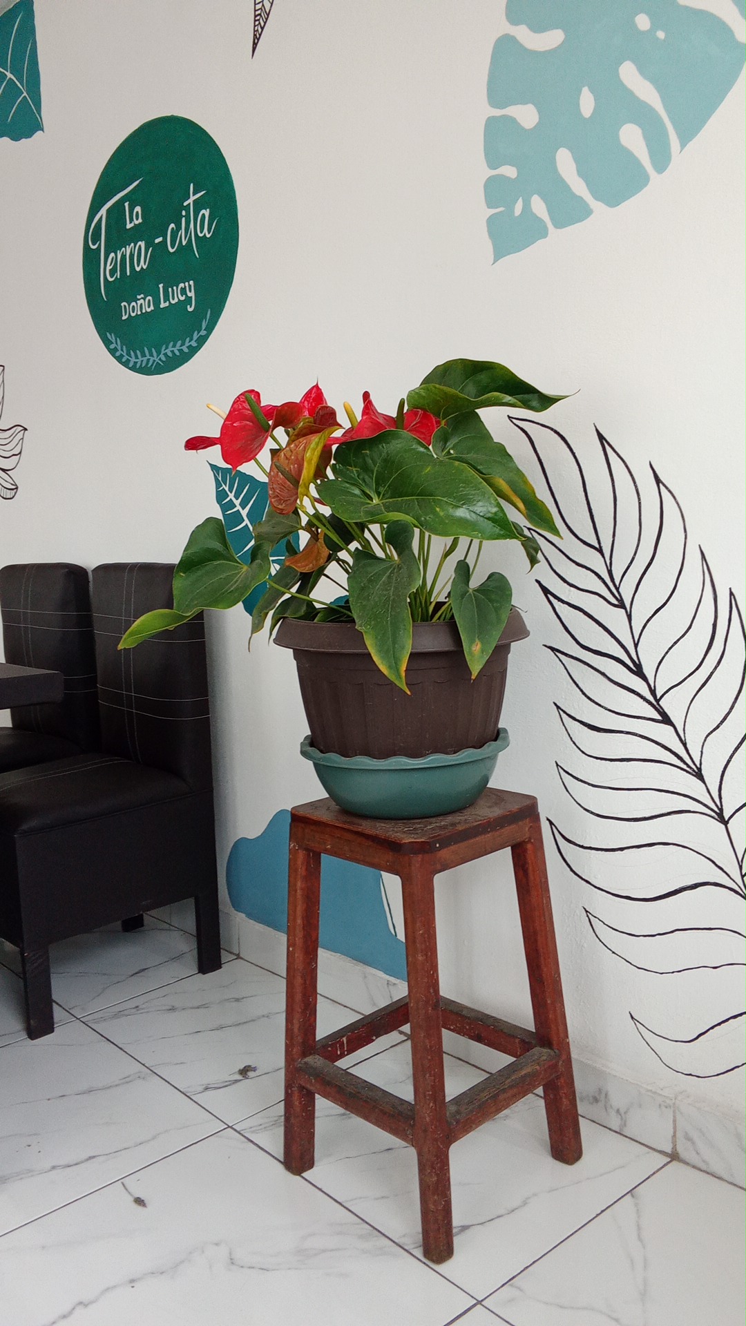 La Terra-Cita “Doña Lucy” image 9