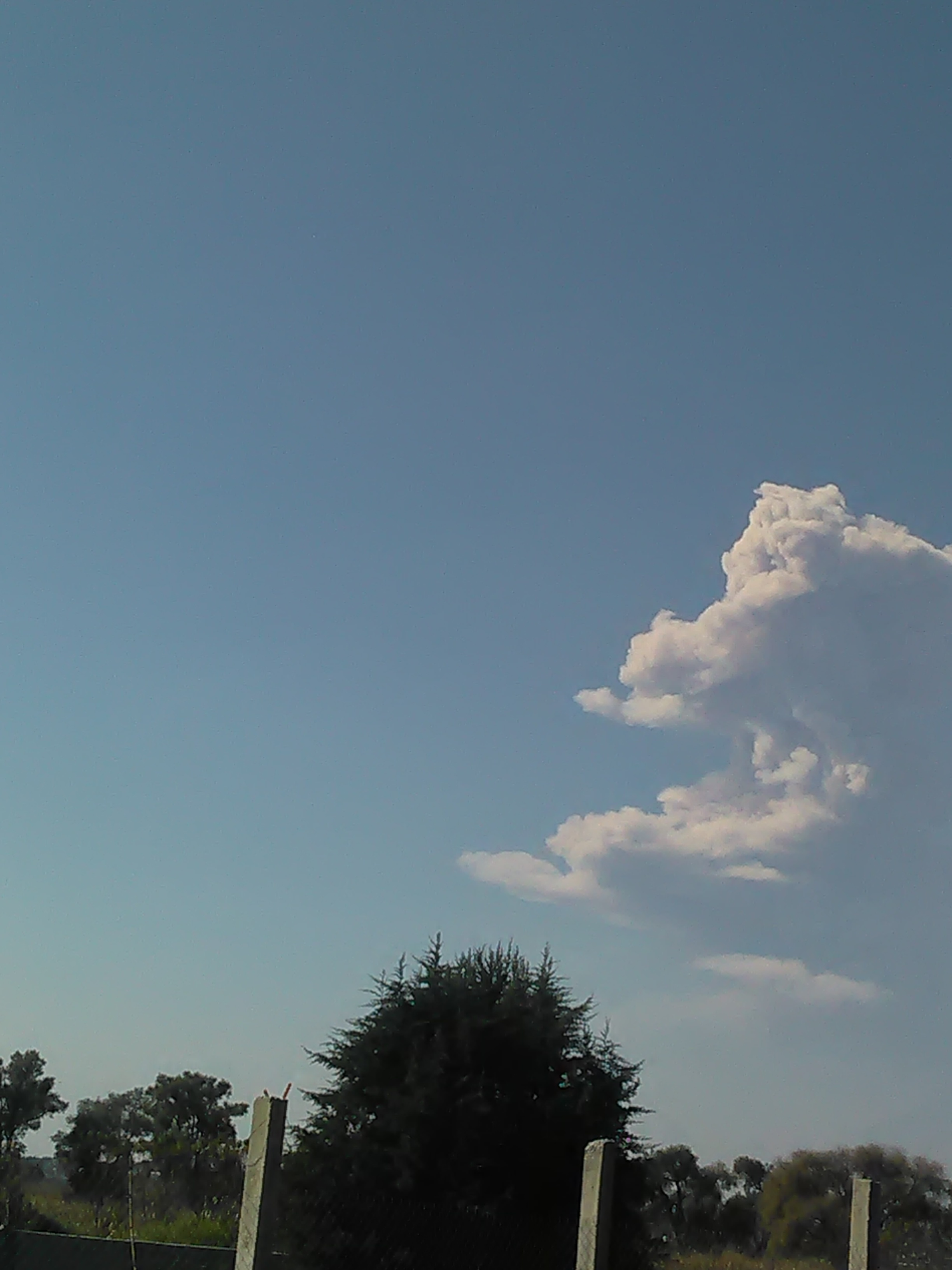 Bistro Caffee image 6