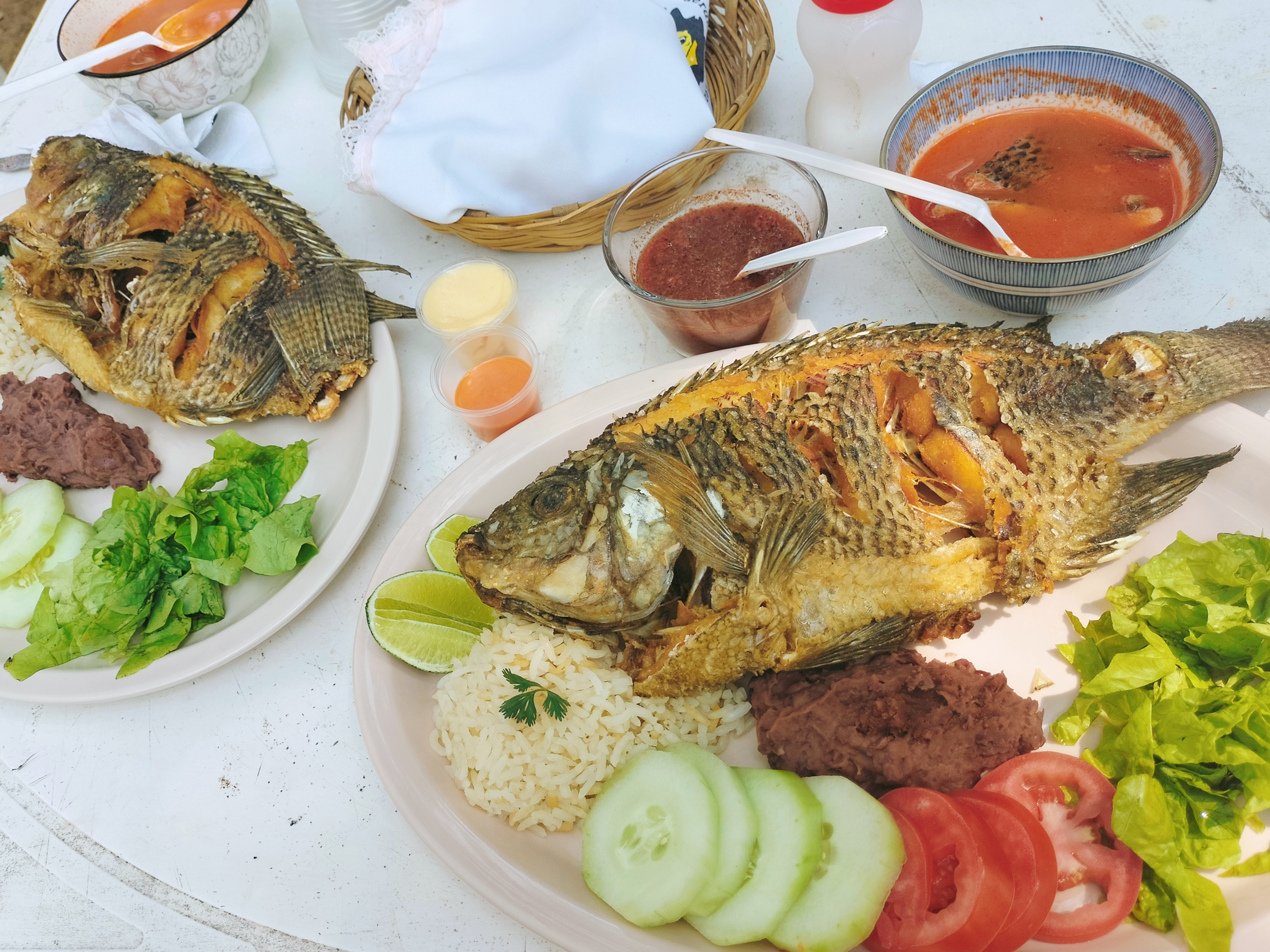 Rancho Santa Cruz. Criadero de Tilapia. image 1