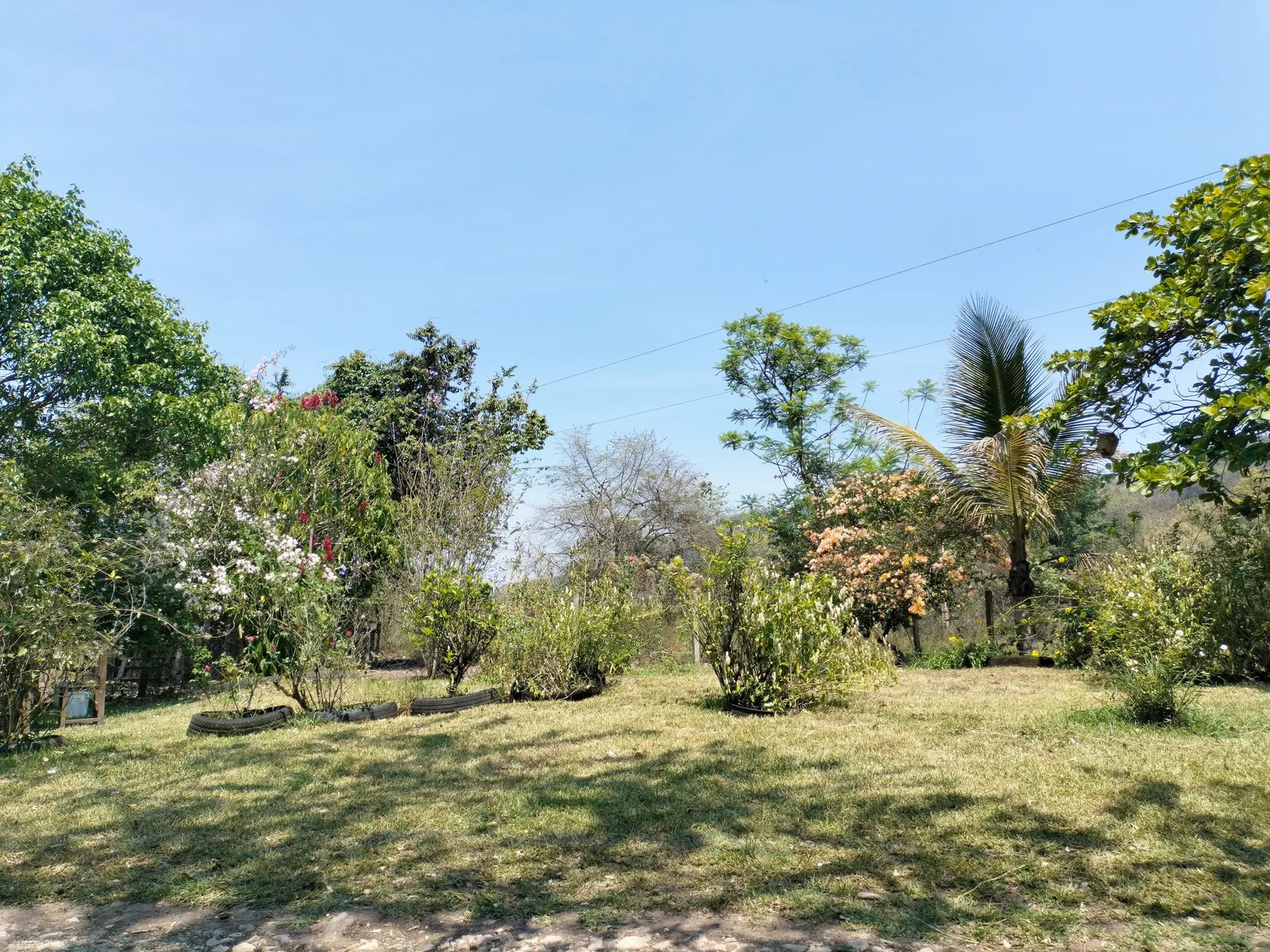 Rancho Santa Cruz. Criadero de Tilapia. image 4